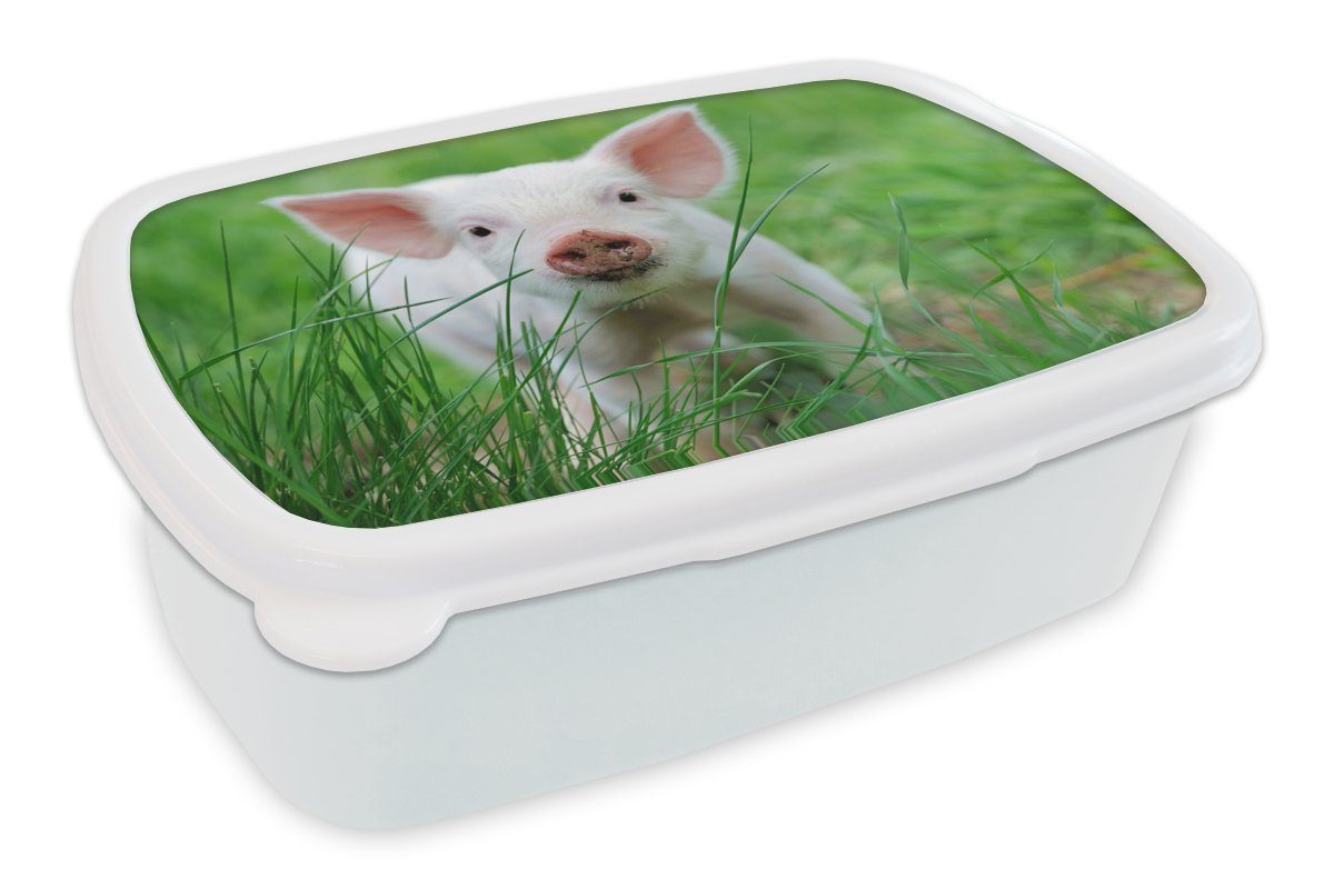MuchoWow Lunchbox Schwein - Tiere - Groß, Kunststoff, (2-tlg), Brotbox für Kinder und Erwachsene, Brotdose, für Jungs und Mädchen weiß