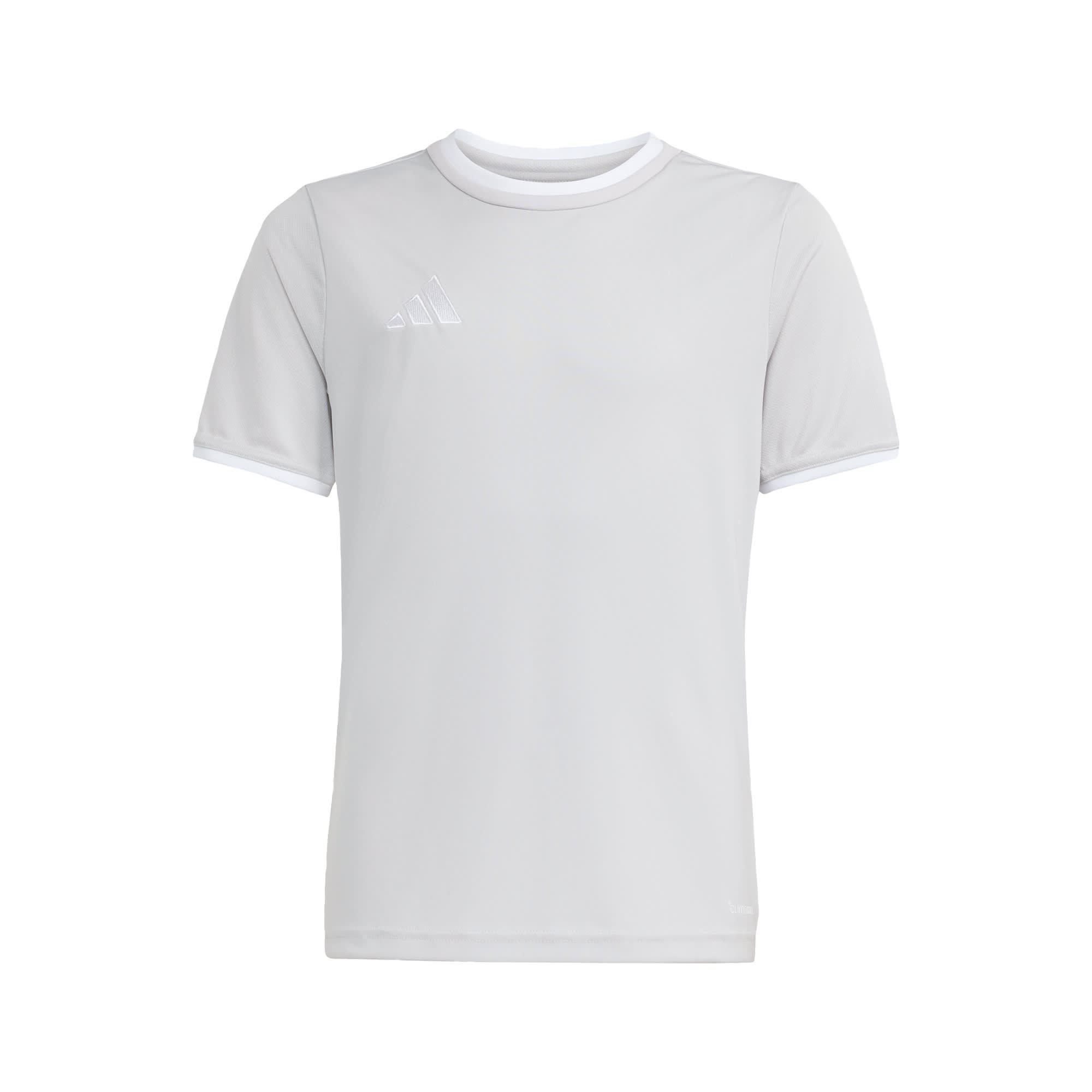 Team Light Grey / White