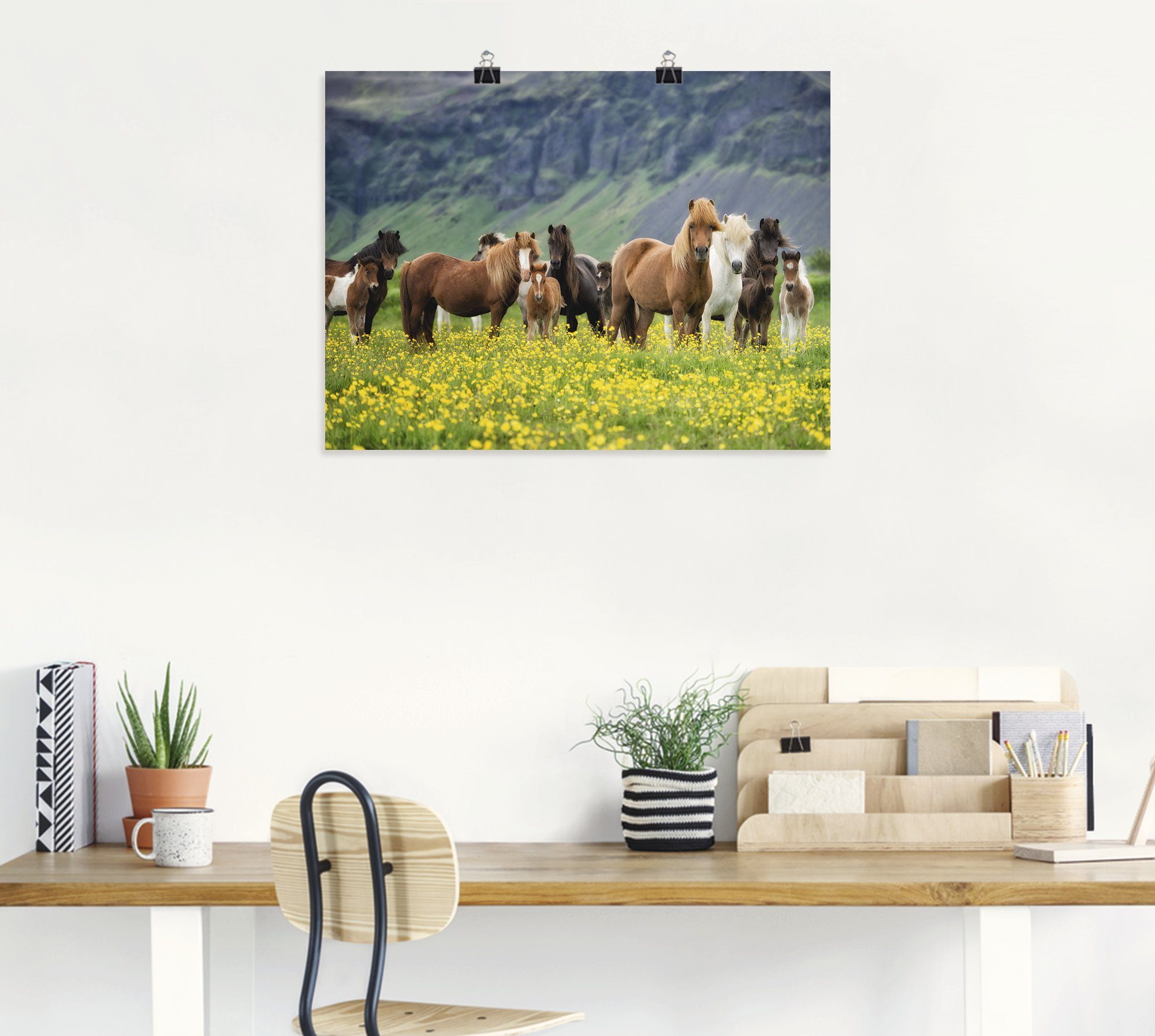 Artland Wandbild Isländische Pferde VII, Haustiere (1 St), als Leinwandbild, Poster in verschied. Größen