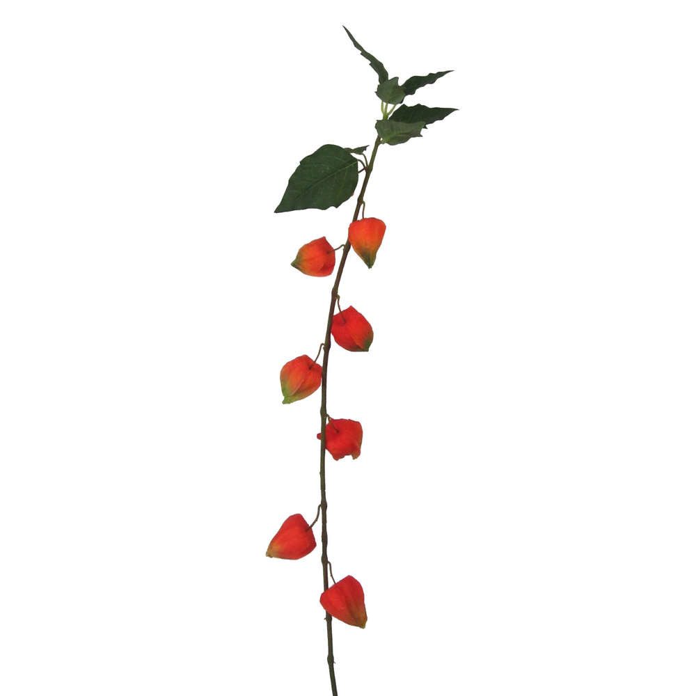 Kunstblume Kunstblume PHYSALIS, 93cm. Blasenkirsche, Judenkirsche in ORANGE, Gasper, Höhe 93.00 cm
