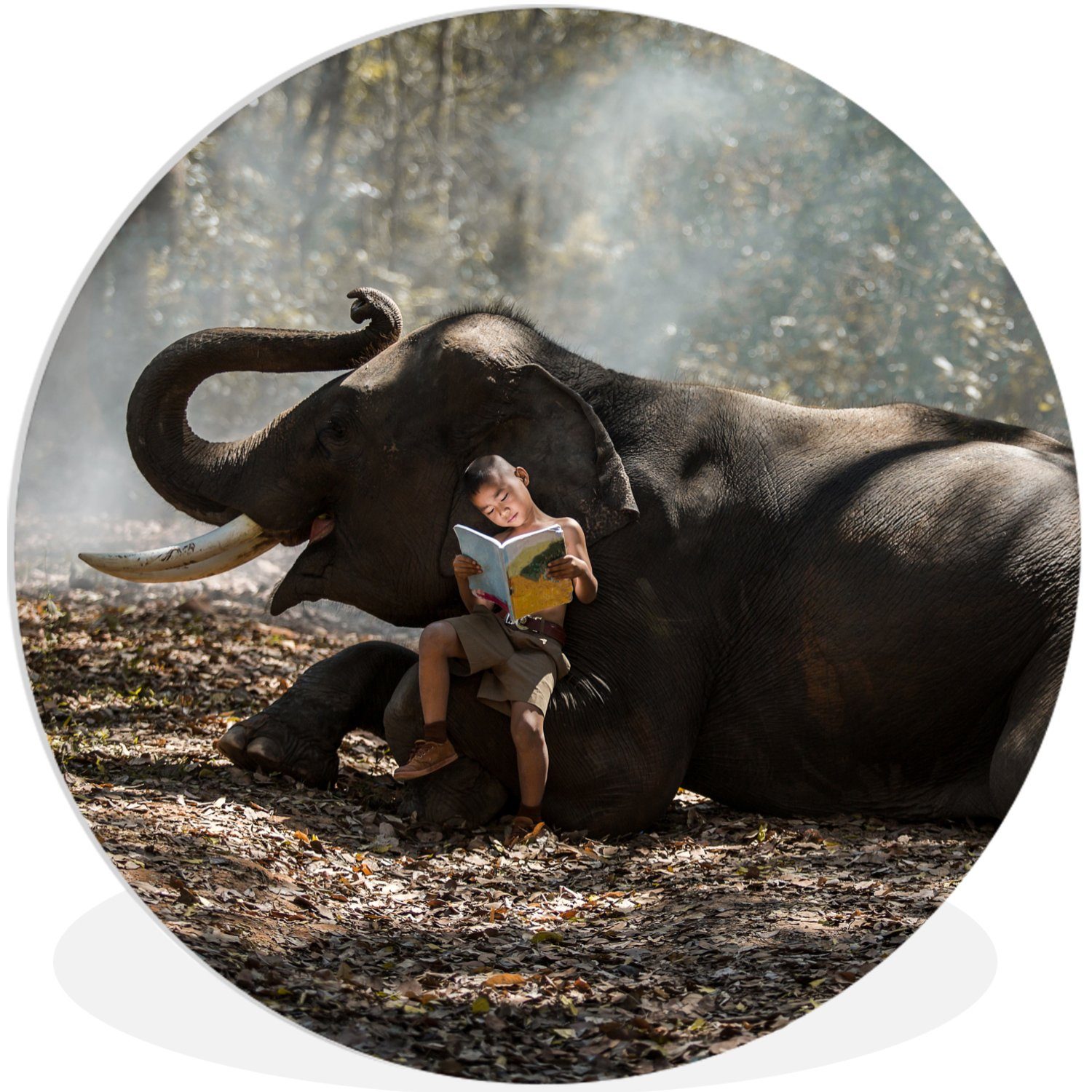 MuchoWow Gemälde Elefant - Junge Tiere Wohnzimmer, Rundes - cm - St), - (1 Buch Forex, Natur, - Wanddekoration 30x30 Kreis Wandbild, Wald