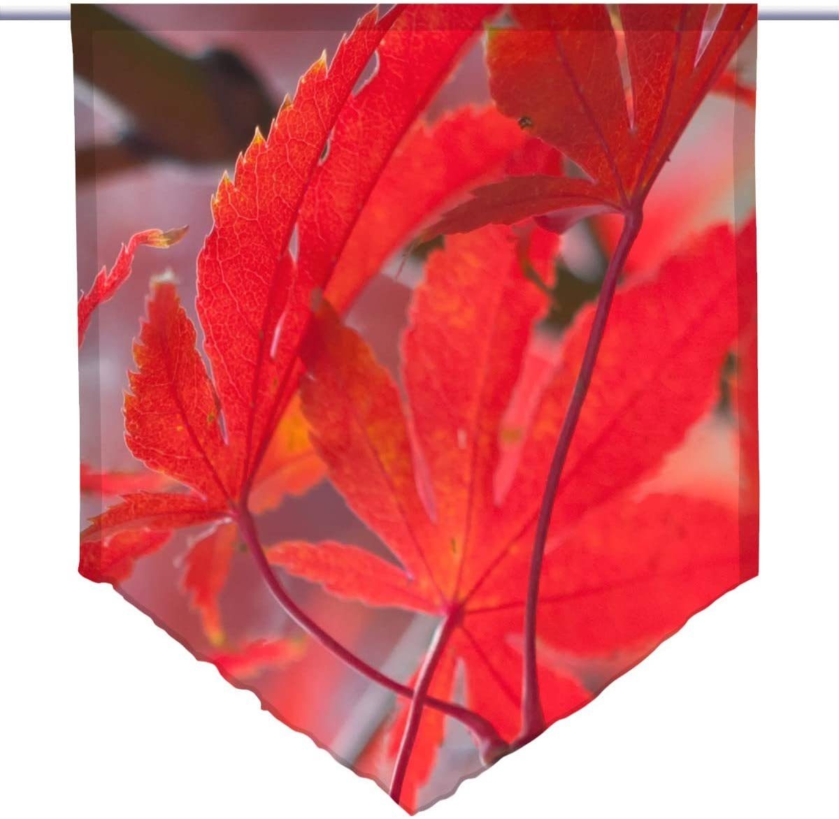 gardinen-for-life Scheibengardine Scheibenhänger Herbsttraum Voile Transparent, Scheibenhänger