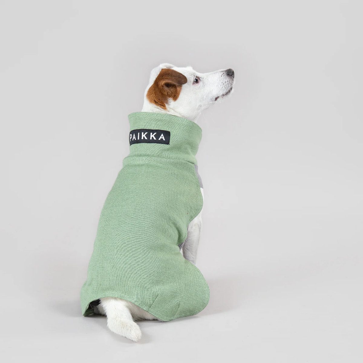 PAIKKA Hundepullover Hunde Pullover wärmend "Recovery Winter Shirt grün