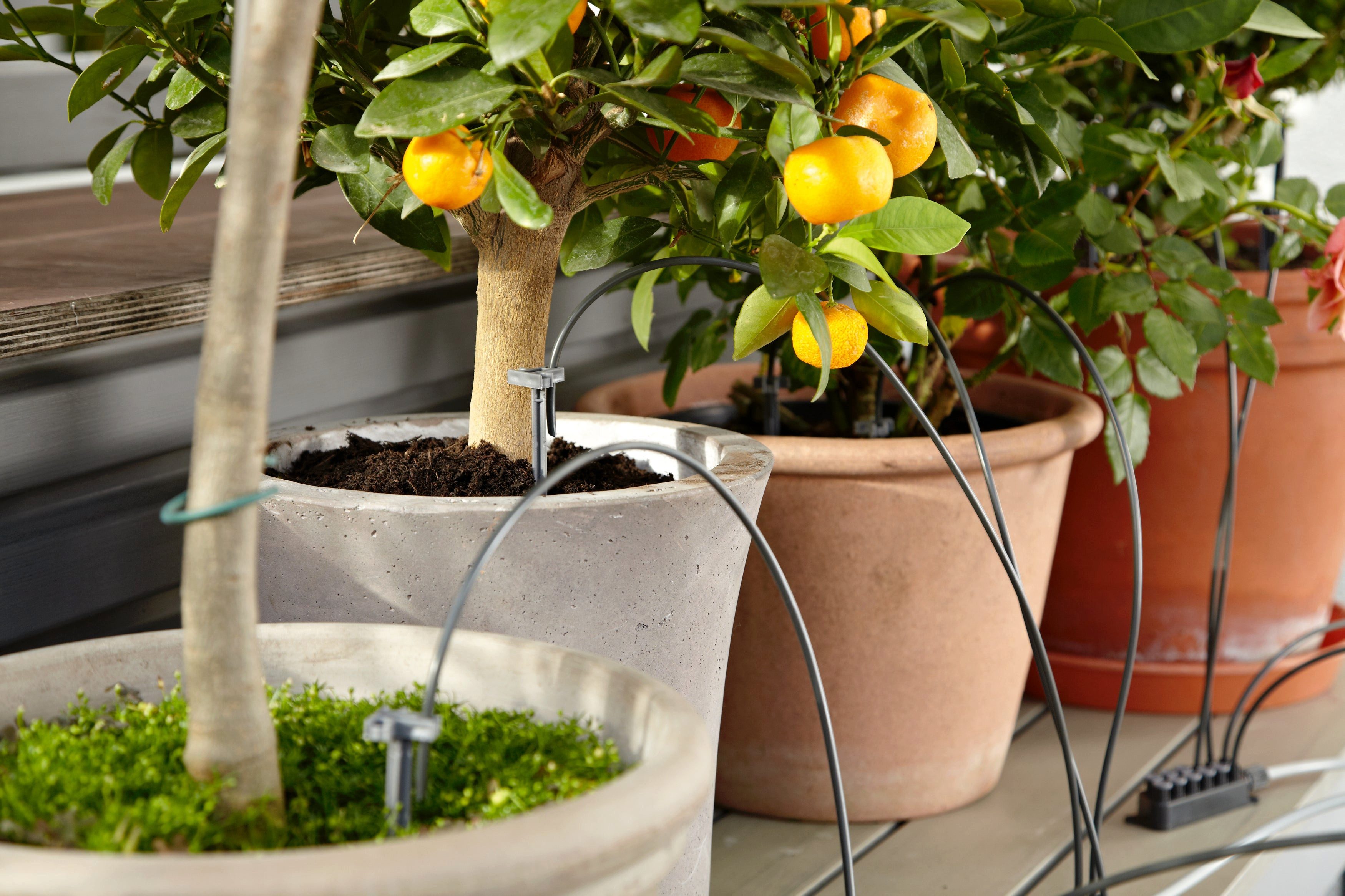 GARDENA Bewässerungssystem Urlaubsbewässerung Set, Automatische Bewässerung von bis zu 36 Zimmerpflanzen