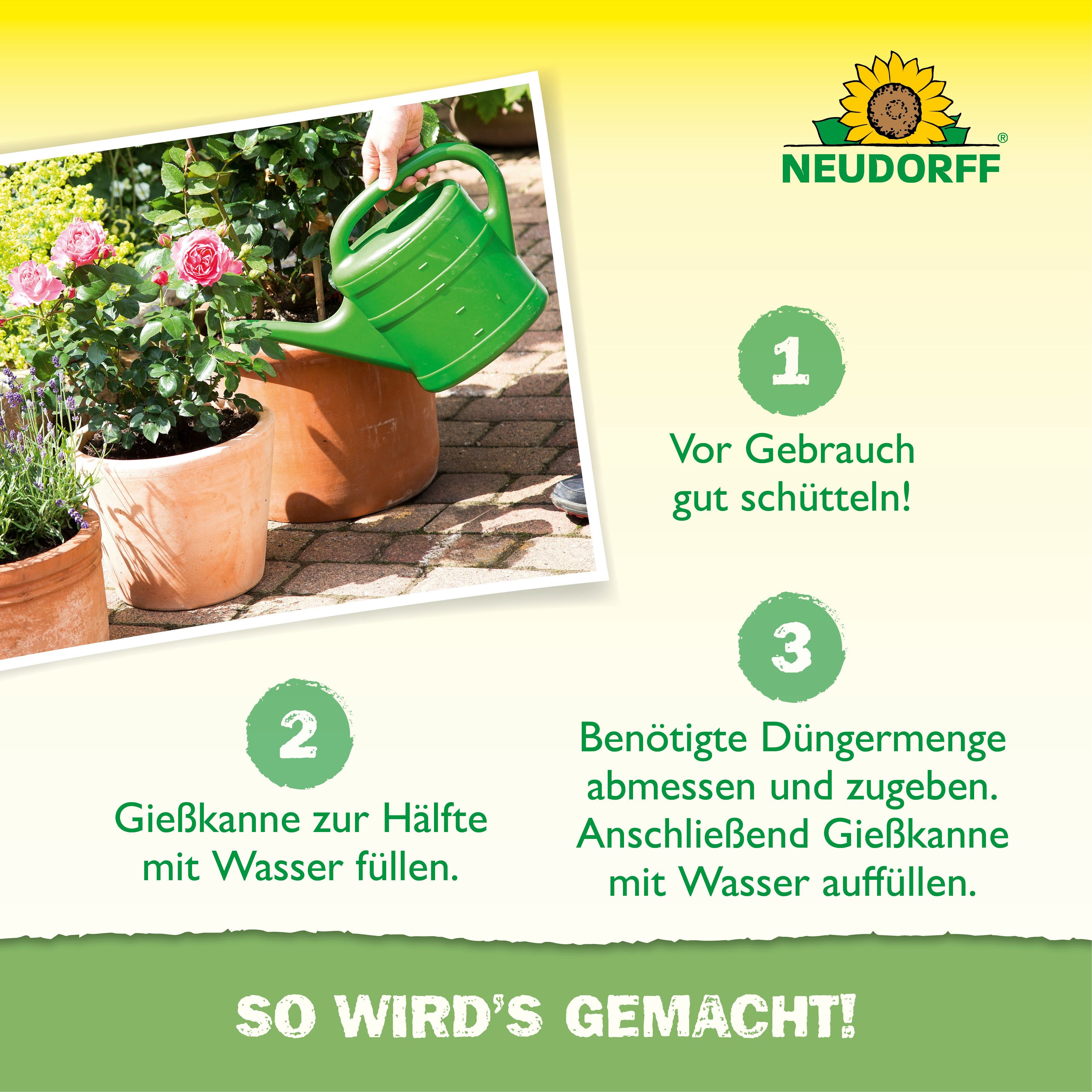 Neudorff Gartendünger Azet RosenDünger 1L für 200L Gießwasser, Flüssiger organischer NPK-Dünger für Rosen, 1 L für bis zu 200 L Gießwasser, Unterstützt neue Kno – Bild 5 von 5