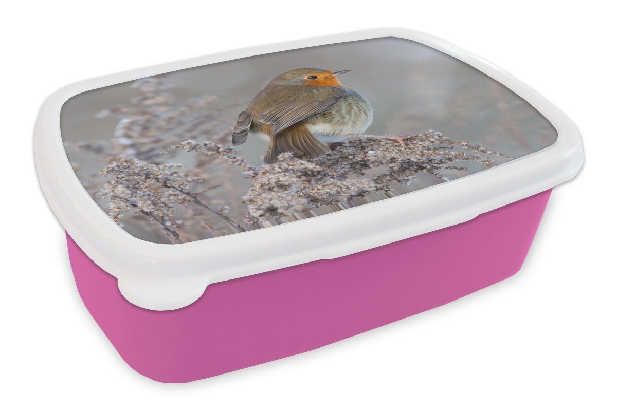 MuchoWow Lunchbox Winter - Rotkehlchen - Vogel, Kunststoff, (2-tlg), Brotbox für Erwachsene, Brotdose Kinder, Snackbox, Mädchen, Kunststoff rosa