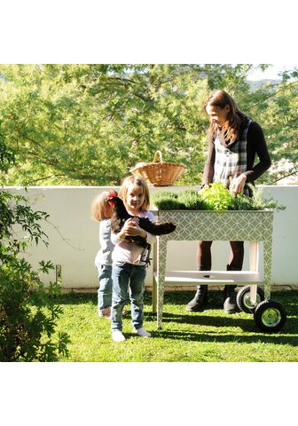 HERSTERA GARDEN Ящик для растений »Barcelona Dal...