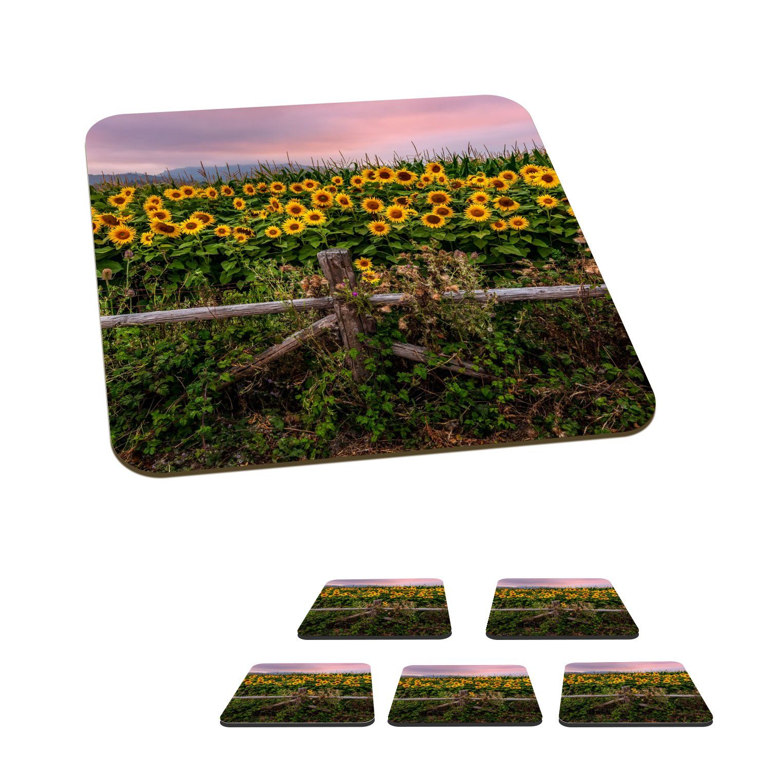 MuchoWow Glasuntersetzer Sonnenblume - Blumen - Pflanzen, Zubehör für Gläser, 6-tlg., Glasuntersetzer, Tischuntersetzer, Korkuntersetzer, Untersetzer, Tasse