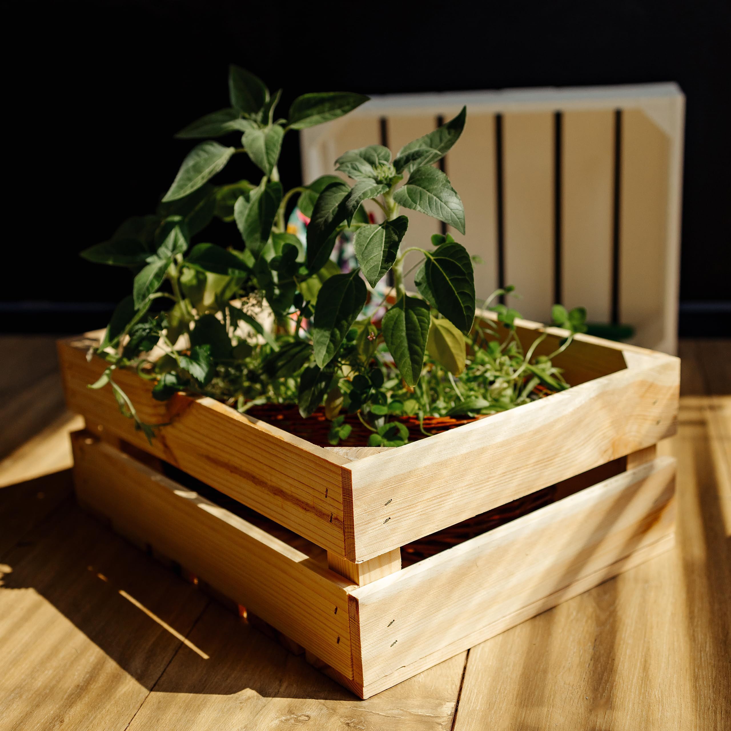 Creative Deco Holzkiste 3x Weinkisten Set günstig online kaufen
