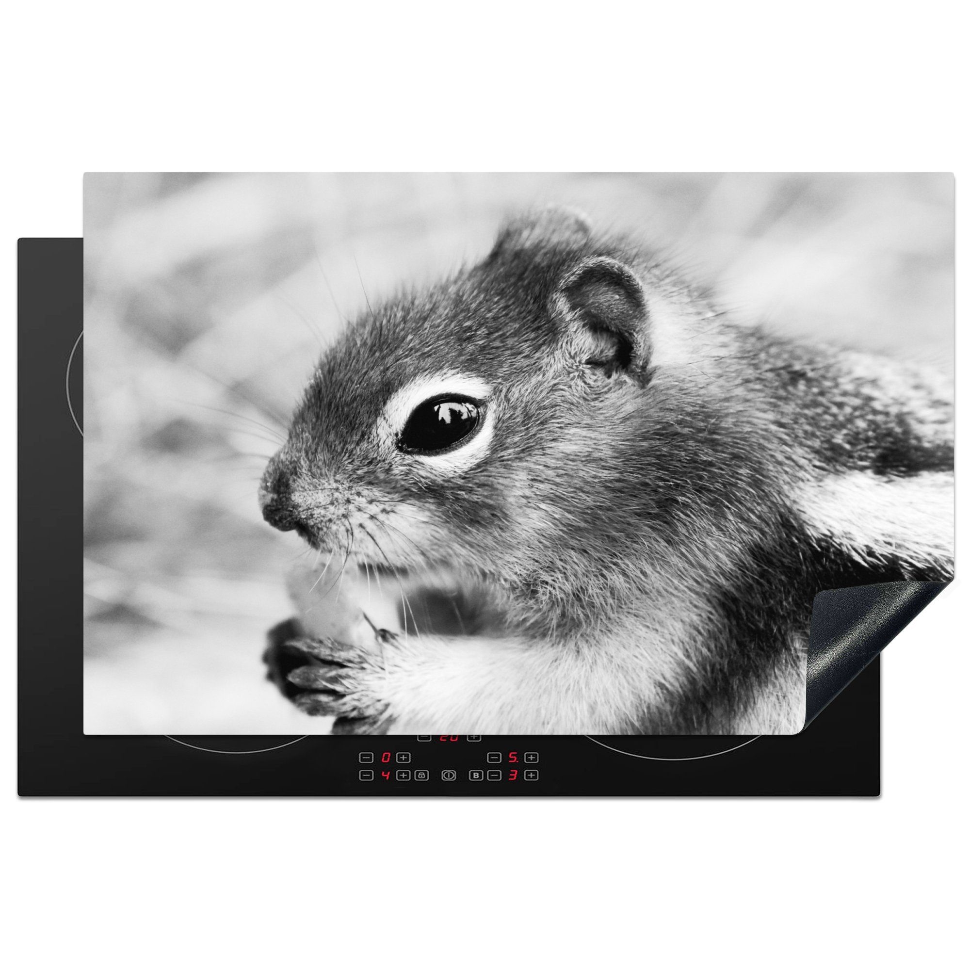 MuchoWow Herdblende-/Abdeckplatte Essen Eichhörnchen auf dunstigen Hintergrund in schwarz und weiß, Vinyl, (1 tlg), 81x52 cm, Induktionskochfeld Schutz für die küche, Ceranfeldabdeckung