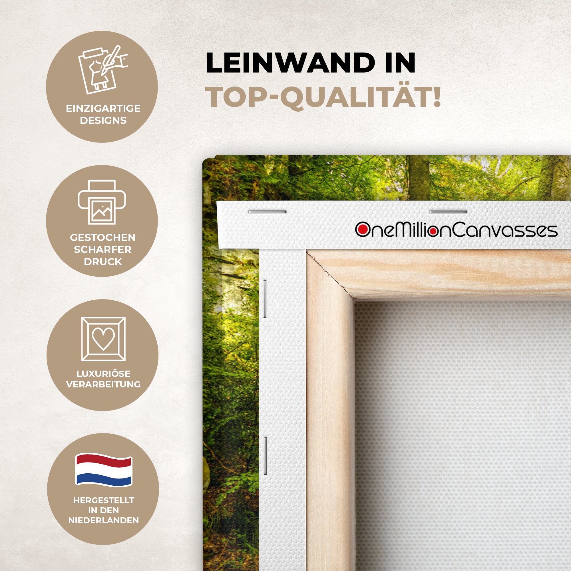 OneMillionCanvasses® Leinwandbild Bäume - Stein - Wald - Natur - Pflanzen, Fotodruck (1 St), Leinwand Bilder Klein, Wand Dekoration Aesthetic 30x20 cm