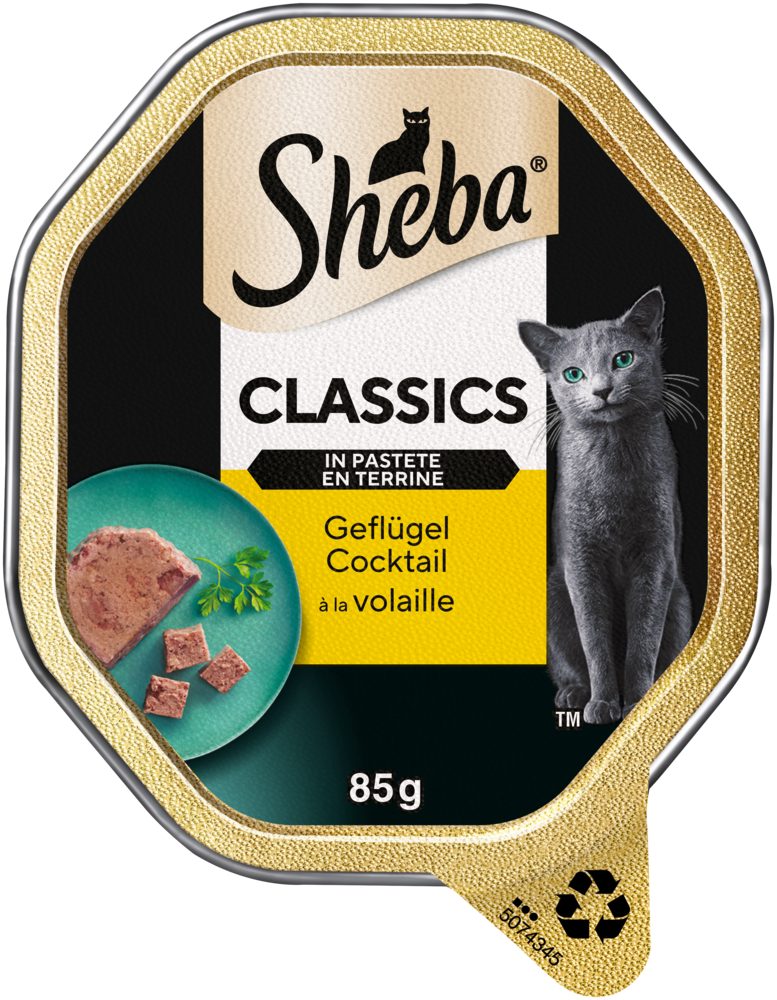 Sheba SHEBA® Schale Classics in Pastete mit Geflügel Cocktail 9 x 85g, für: Katze
