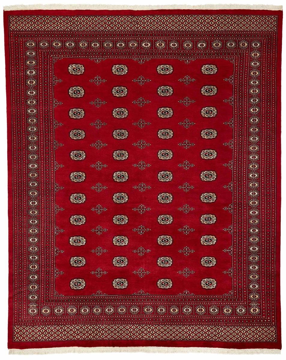 Orientteppich Pakistan Buchara 2ply 248x304 Handgeknüpfter Orientteppich, Nain Trading, rechteckig, Höhe: 8 mm