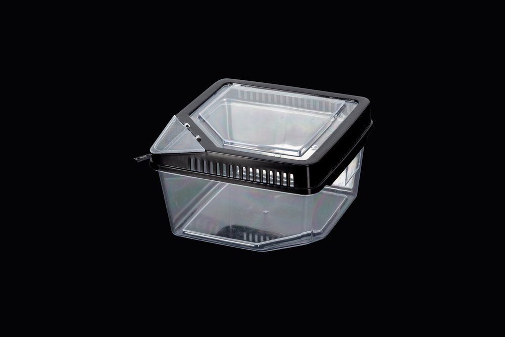 Terrarium ReptiZoo Kunststoffbox (Terrarium) (17,7x17,7x11cm)(RT2019)