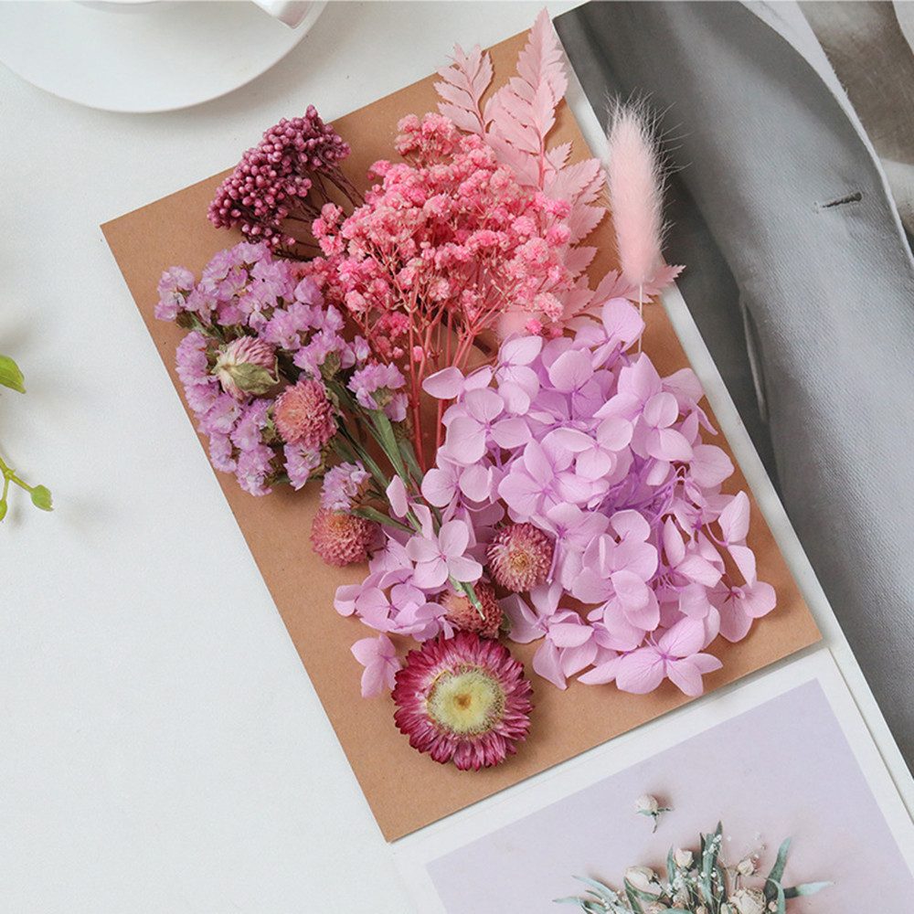 Trockenblume Pampasgras Zum Basteln Mini Trockenblumen, günstig online kaufen