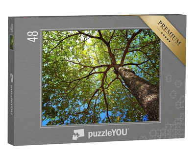 puzzleYOU Puzzle Foto bis zur Baumkrone von unten aufgenommen, 48 Puzzleteile, puzzleYOU-Kollektionen Bäume, Pflanzen, Wald & Bäume
