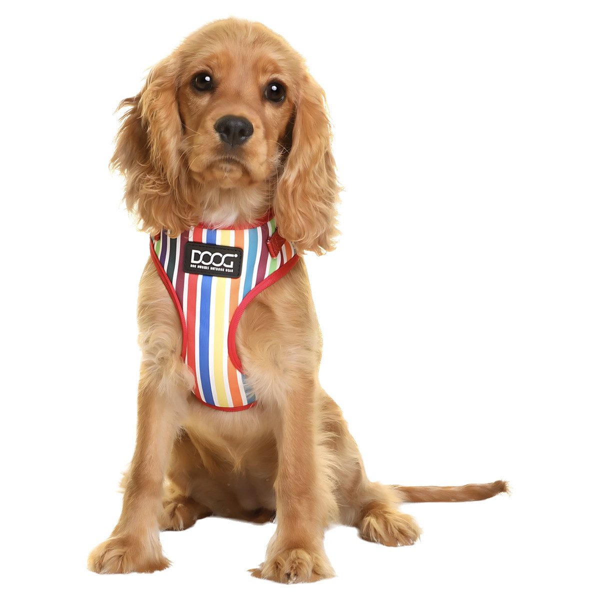 DOOG Hunde-Geschirr Neopren Geschirr Scooby multi-color stripped