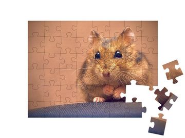 puzzleYOU Puzzle Süßer brauner Hamster, 48 Puzzleteile, puzzleYOU-Kollektionen Hamster, Bauernhof-Tiere, Insekten & Kleintiere
