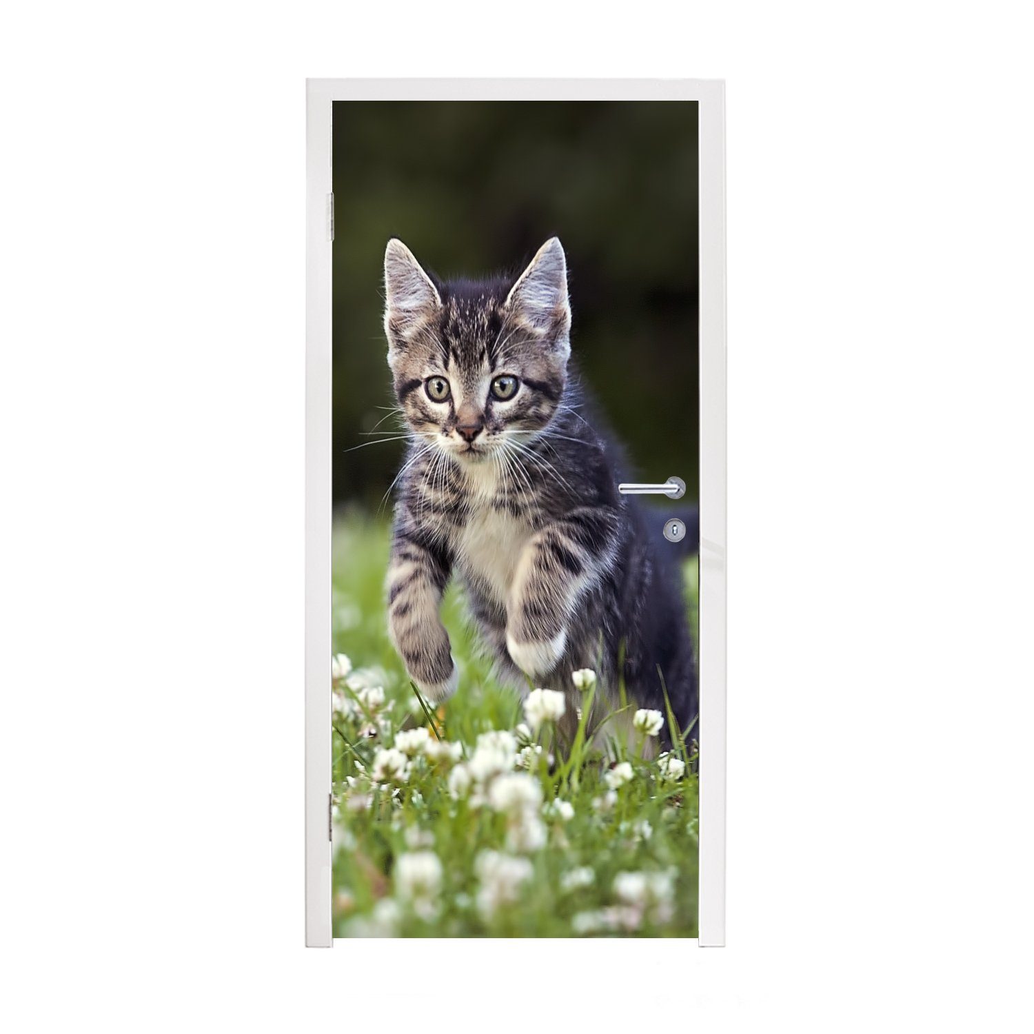 MuchoWow Türtapete Ein Kätzchen in einem Kleefeld, Matt, bedruckt, (1 St), Fototapete für Tür, Türaufkleber, 75x205 cm