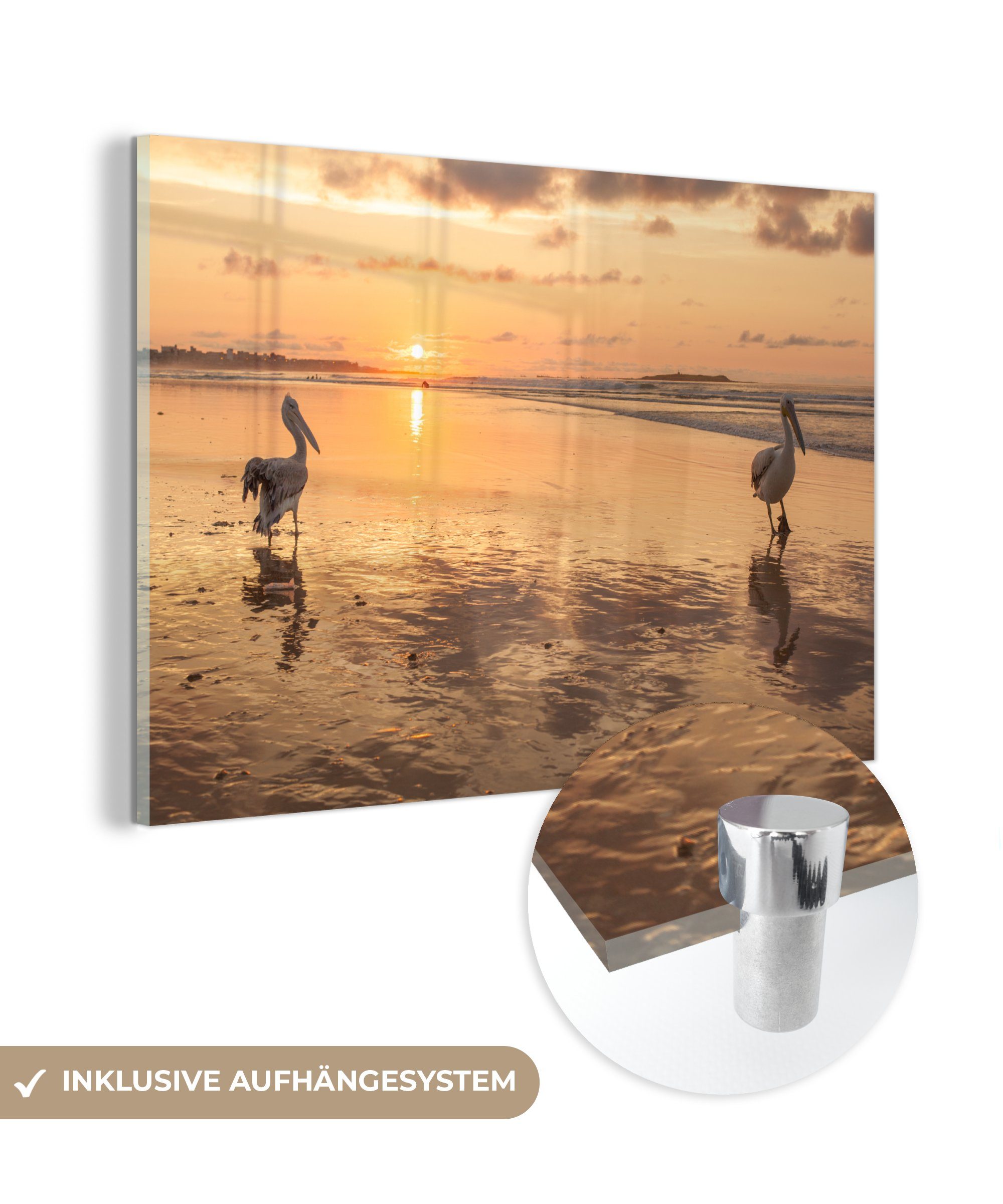 MuchoWow Acrylglasbild Sonne - Pelikan - Meer, (1 St), Acrylglasbilder Wohnzimmer & Schlafzimmer | Bilder