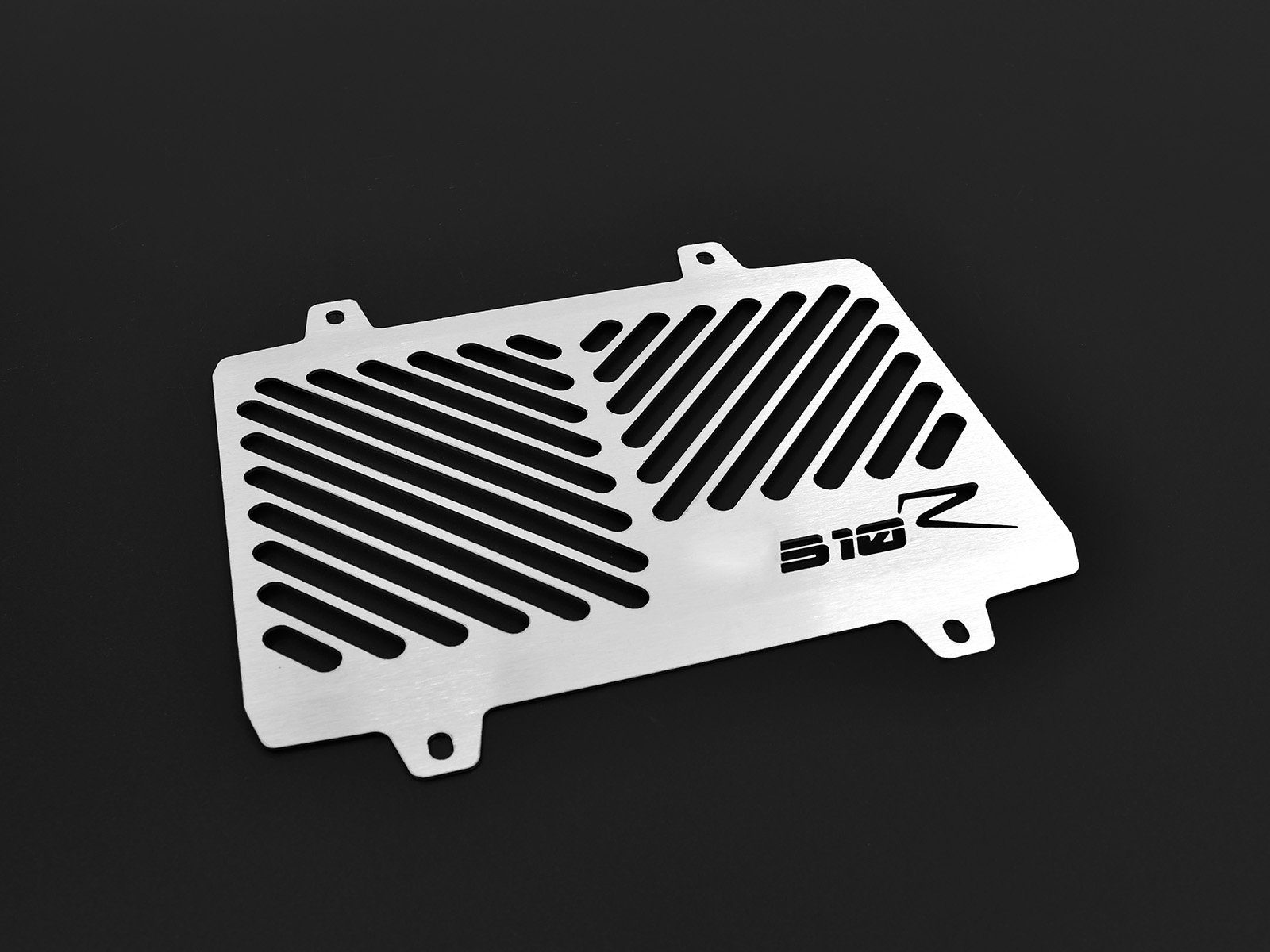 ZIEGER Motorrad-Additiv Kühlerabdeckung für BMW G 310 R Logo silber, Motorradkühlerabdeckung