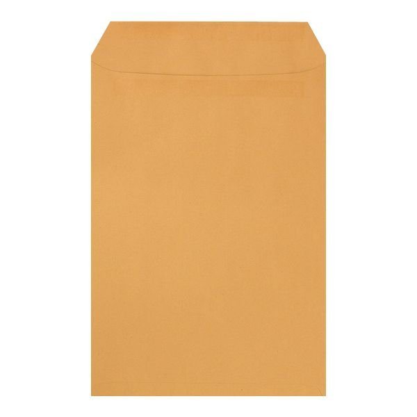 250 Natron-Versandtaschen C4 ohne Fenster 250 Natron-Versandtaschen C4 ohne Fenster