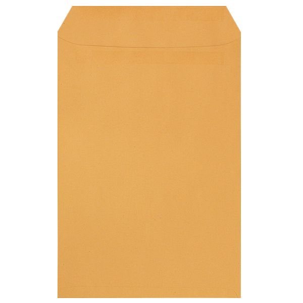 250 Natron-Versandtaschen C4 ohne Fenster 250 Natron-Versandtaschen C4 ohne Fenster