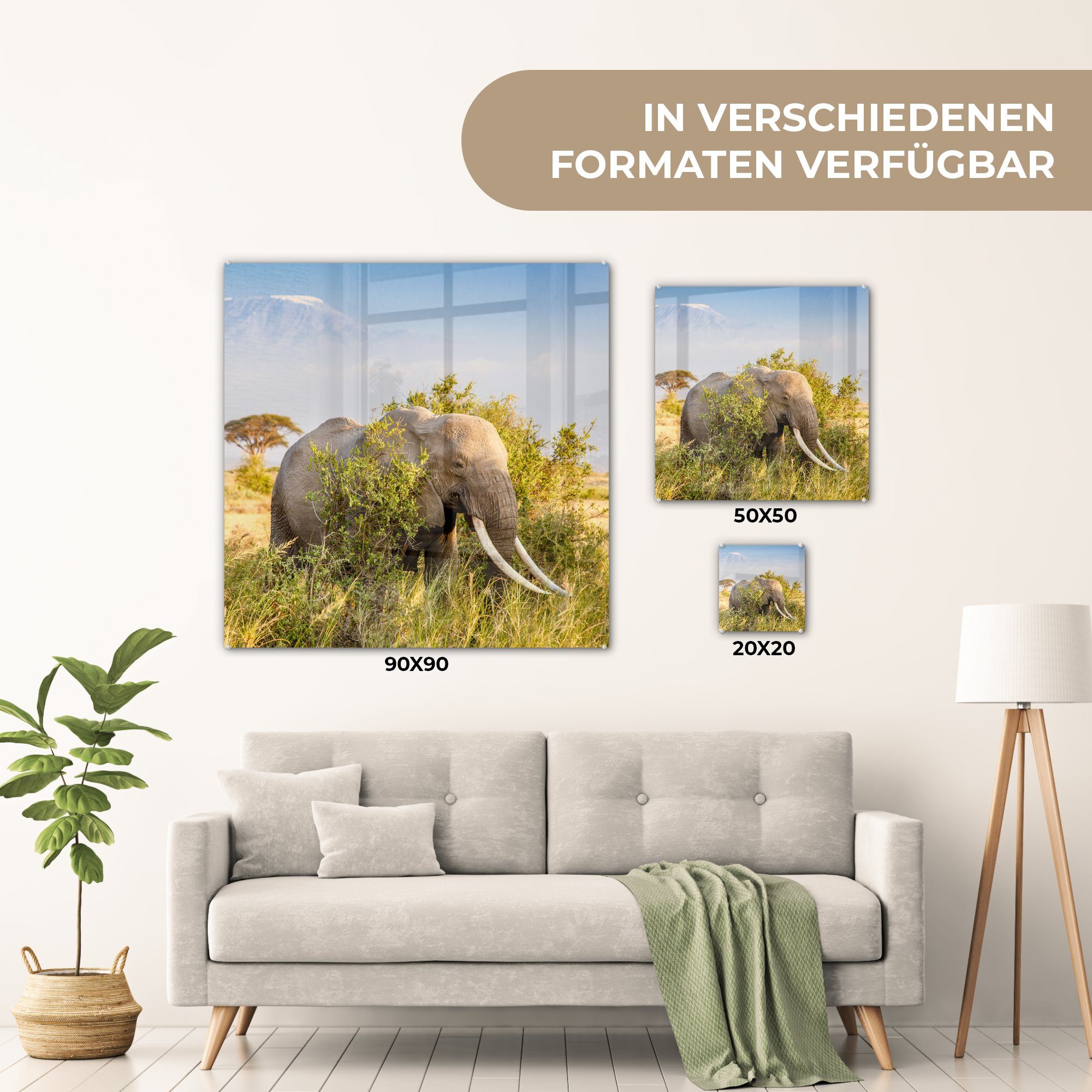 Glas Glasbilder Grün - - - Foto Elefant Tiere auf - - Wandbild - Gras Berg, Acrylglasbild auf MuchoWow (1 Wanddekoration St), Bilder Glas -