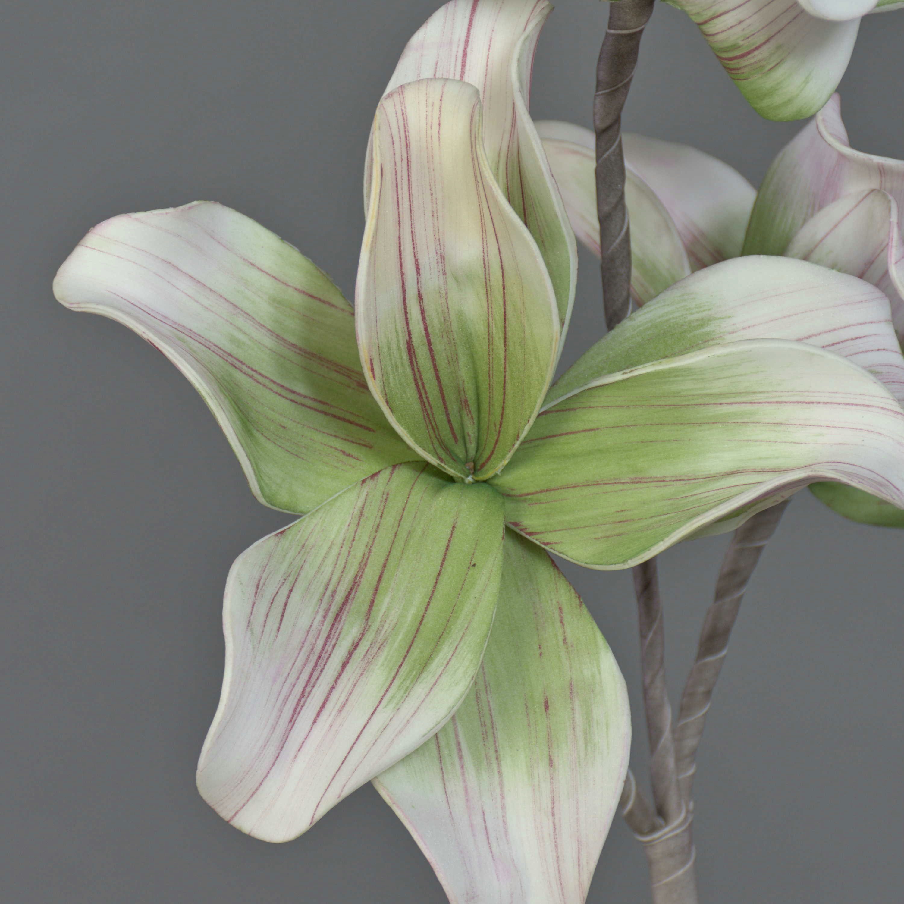 Kunstzweig Kunst Magnolia Verona, rosa-grün, 42cm Magnolie, artplants, Höhe 40.0 cm