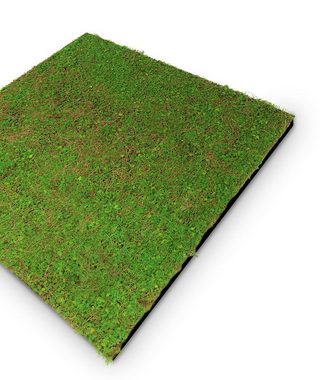 LEISTENHAMMER DER SOCKELLEISTEN SHOP Wandpaneel 3D Wandpaneel Waldboden gemischt 52x52 Grüne Wand Akustik Nature, BxL: 52x52 cm, 0.27 qm, (1-tlg) German Design Award 2024