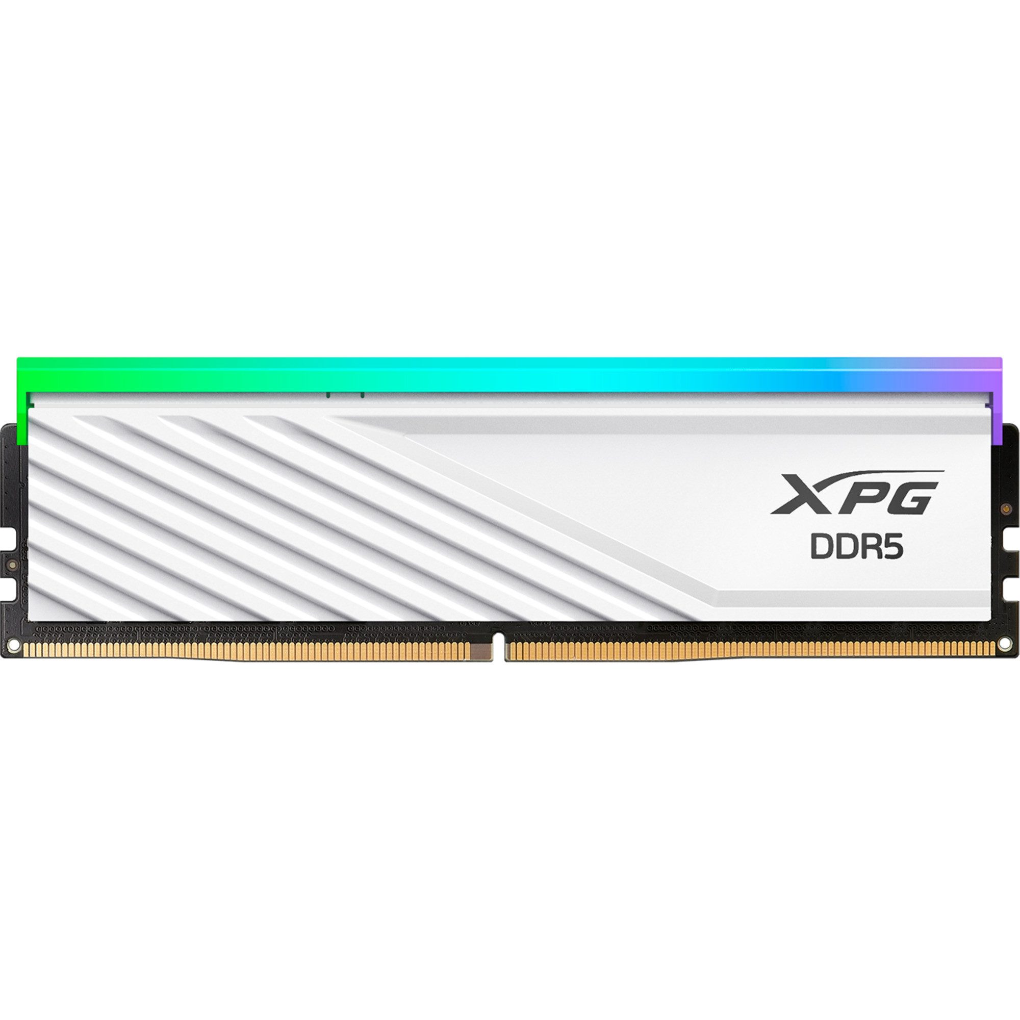 ADATA ADATA DIMM 16 GB DDR5-6000 (1x 16 GB), Arbeitsspeicher
