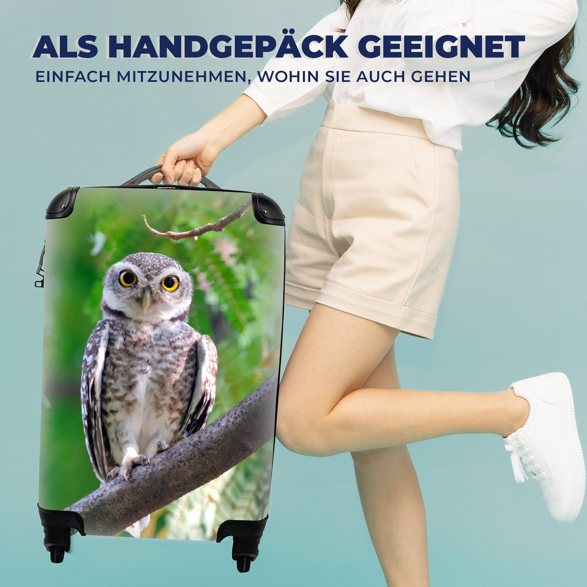 MuchoWow Ferien, rollen, Reisekoffer Reisetasche für Ast mit sitzend, 4 Eule Trolley, Handgepäck auf Handgepäckkoffer Rollen,