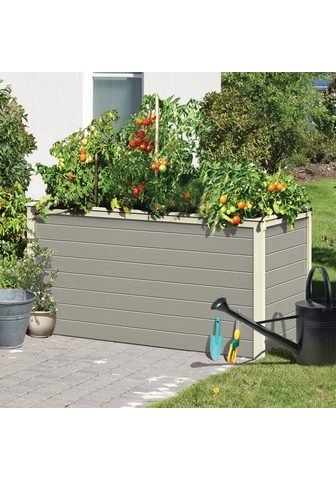 KARIBU Ящик для растений »1« BxTx...