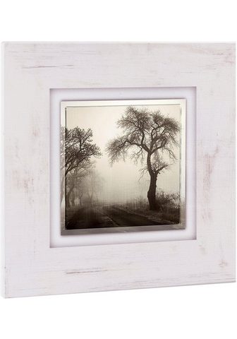 HOME AFFAIRE Картина »Bäume в Nebel&laqu...