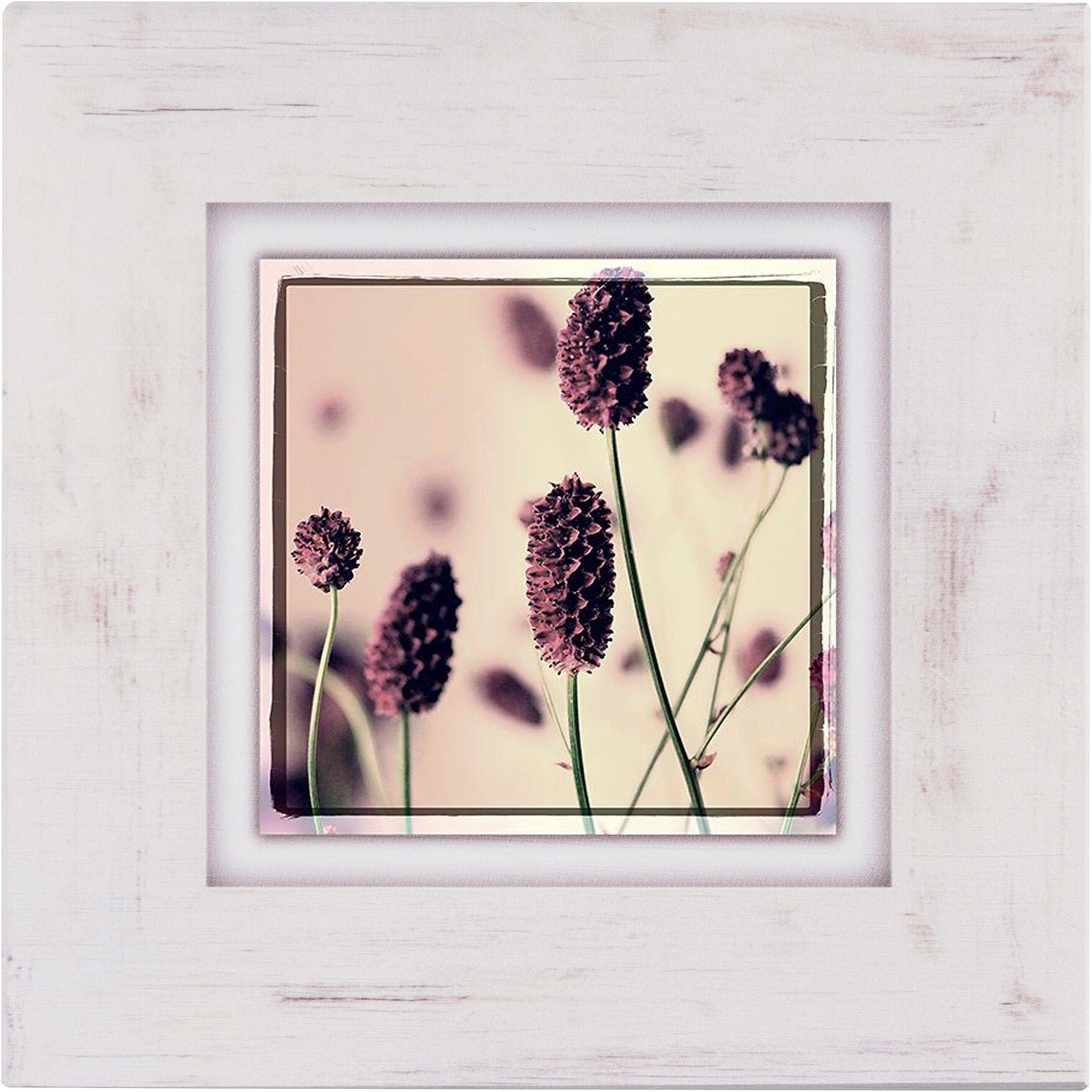 Home affaire Holzbild »Gräser mit Blüten«, 40/40 cm-HomeTrends