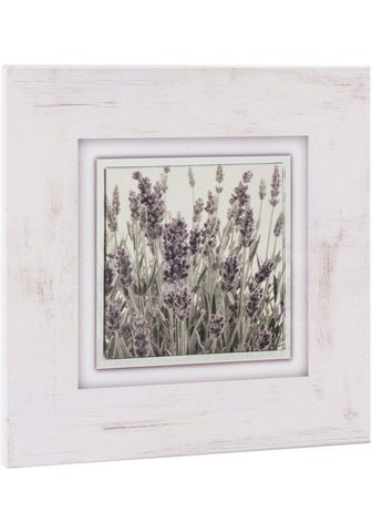 HOME AFFAIRE Картина »Lavendel«