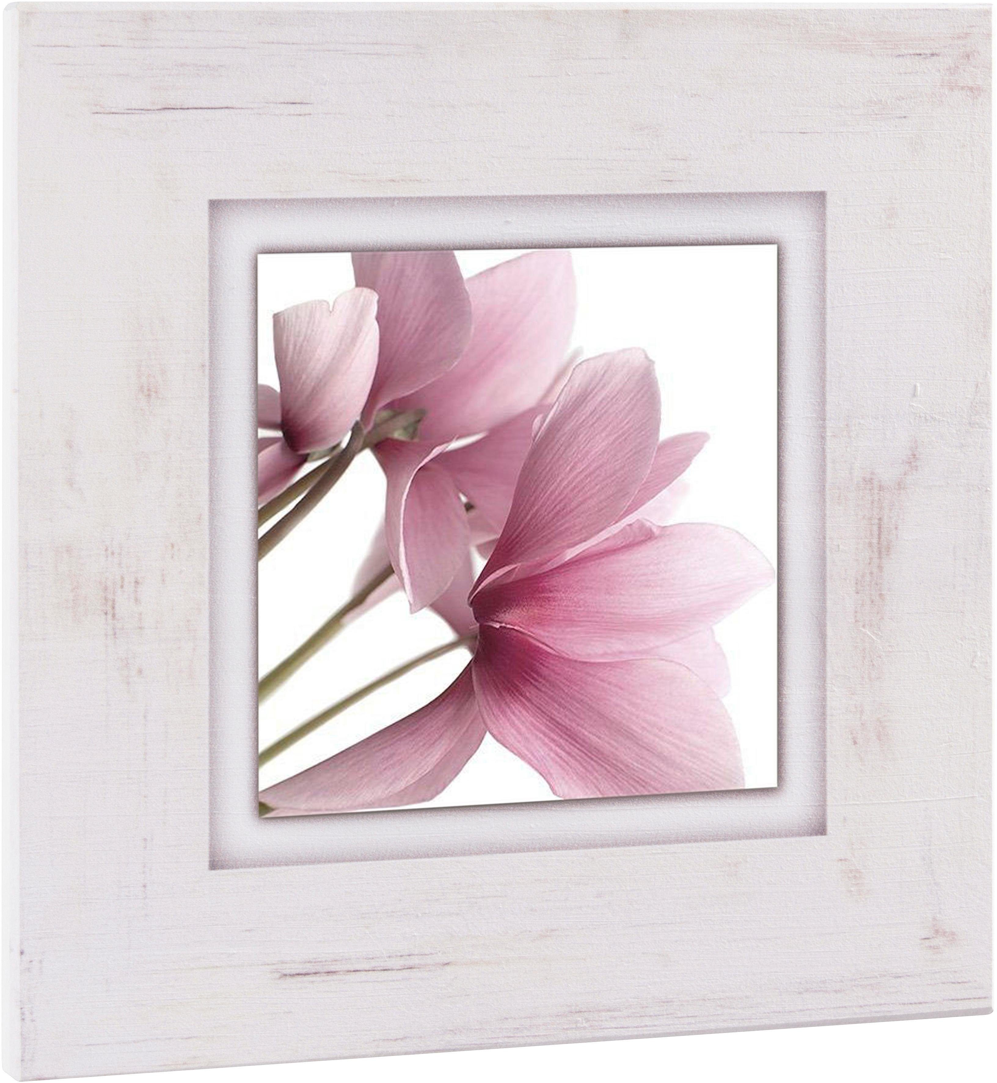 Home affaire Holzbild »Rosa Veilchen«, 40/40 cm-Otto