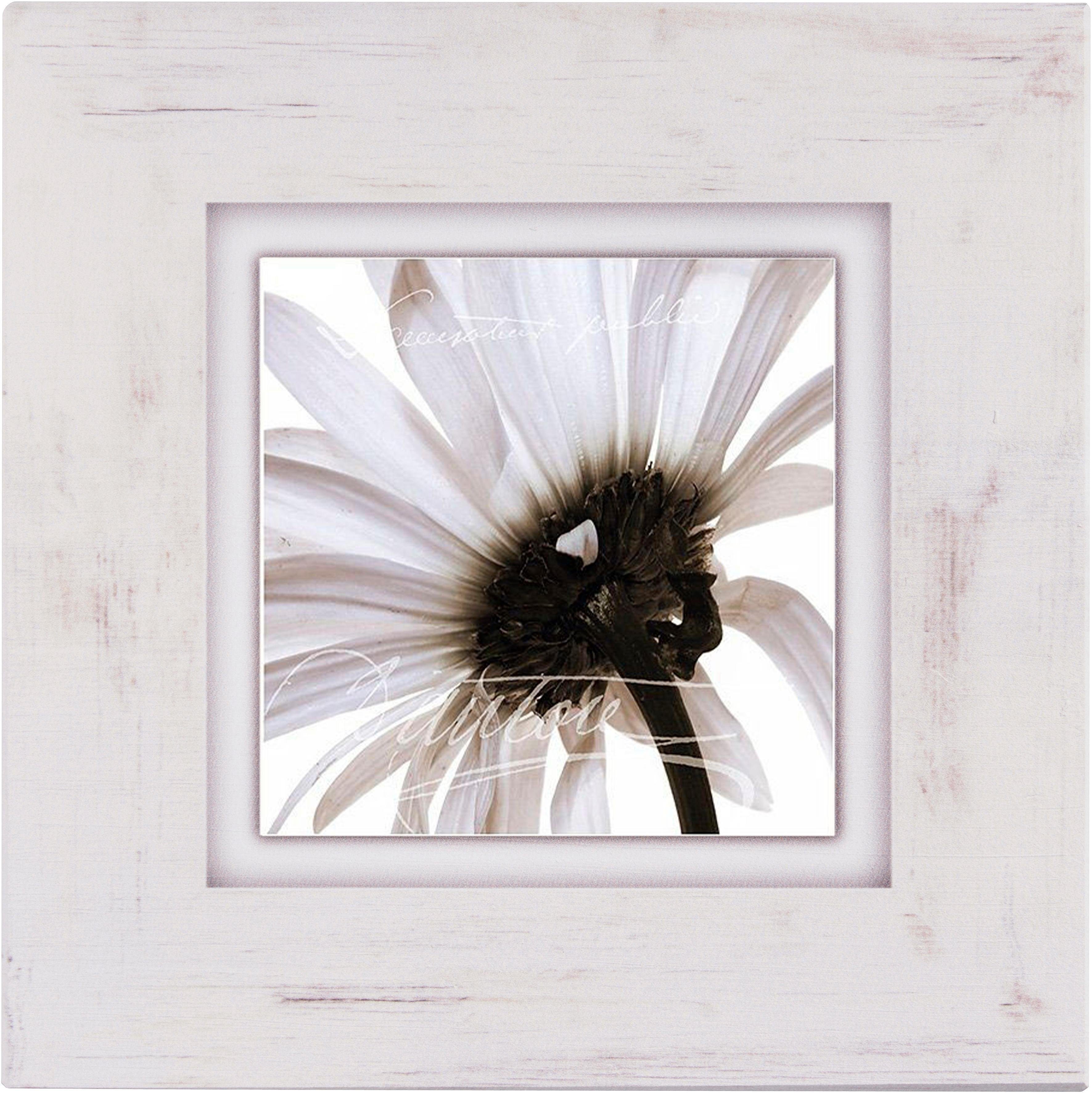 Home affaire Bild »Zartrosa Blüte«, Blume-HomeTrends