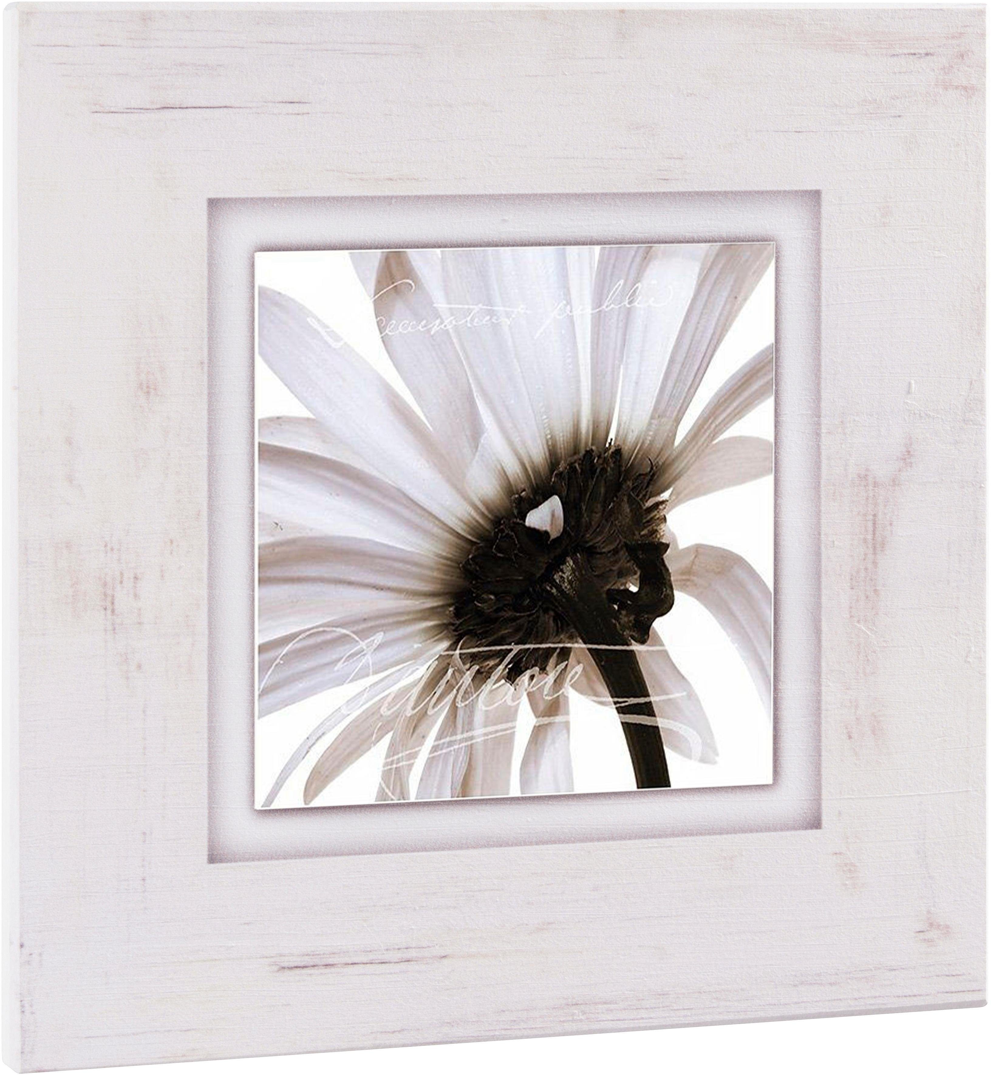 Home affaire Bild »Zartrosa Blüte«, Blume-Otto