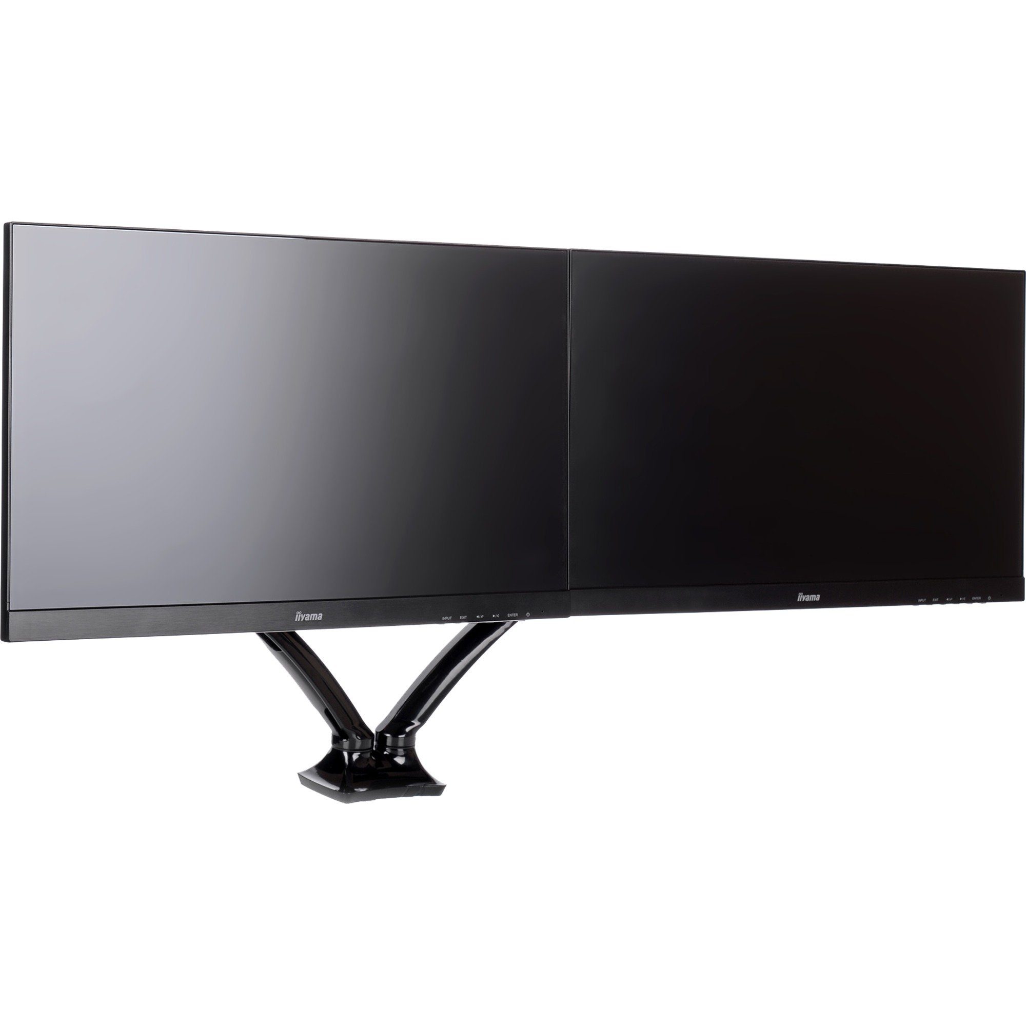 Iiyama Wandhalterung iiyama DS3002C-B1, Monitorhalterung