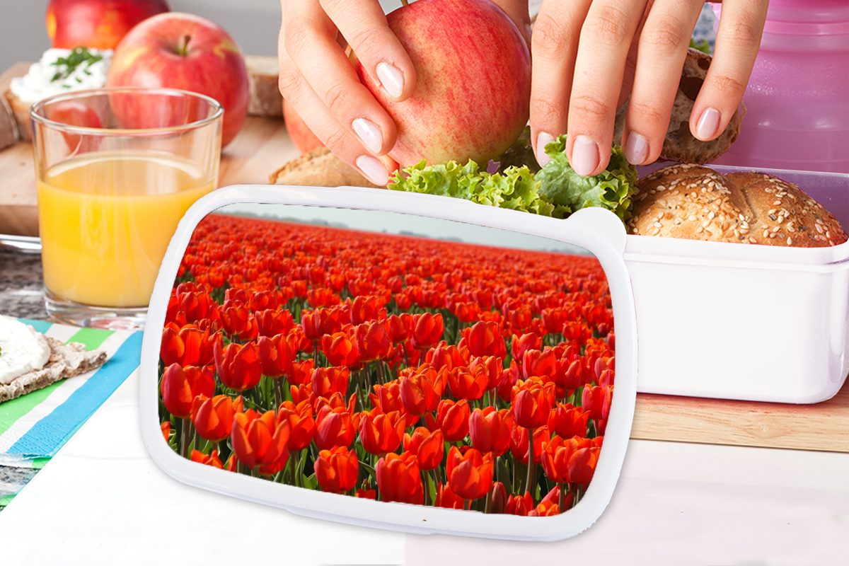 MuchoWow Lunchbox Ein großes Brotdose, Brotbox mit Kinder Jungs (2-tlg), und Feld und Erwachsene, weiß für Tulpen, roten Kunststoff, nur für Mädchen