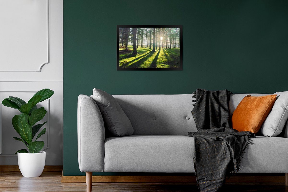 - Bilderrahmen Wald, Poster St), (1 - Natur Gerahmtes Wandposter, Bilder, Poster, Wanddeko, MuchoWow Schwarzem Bäume