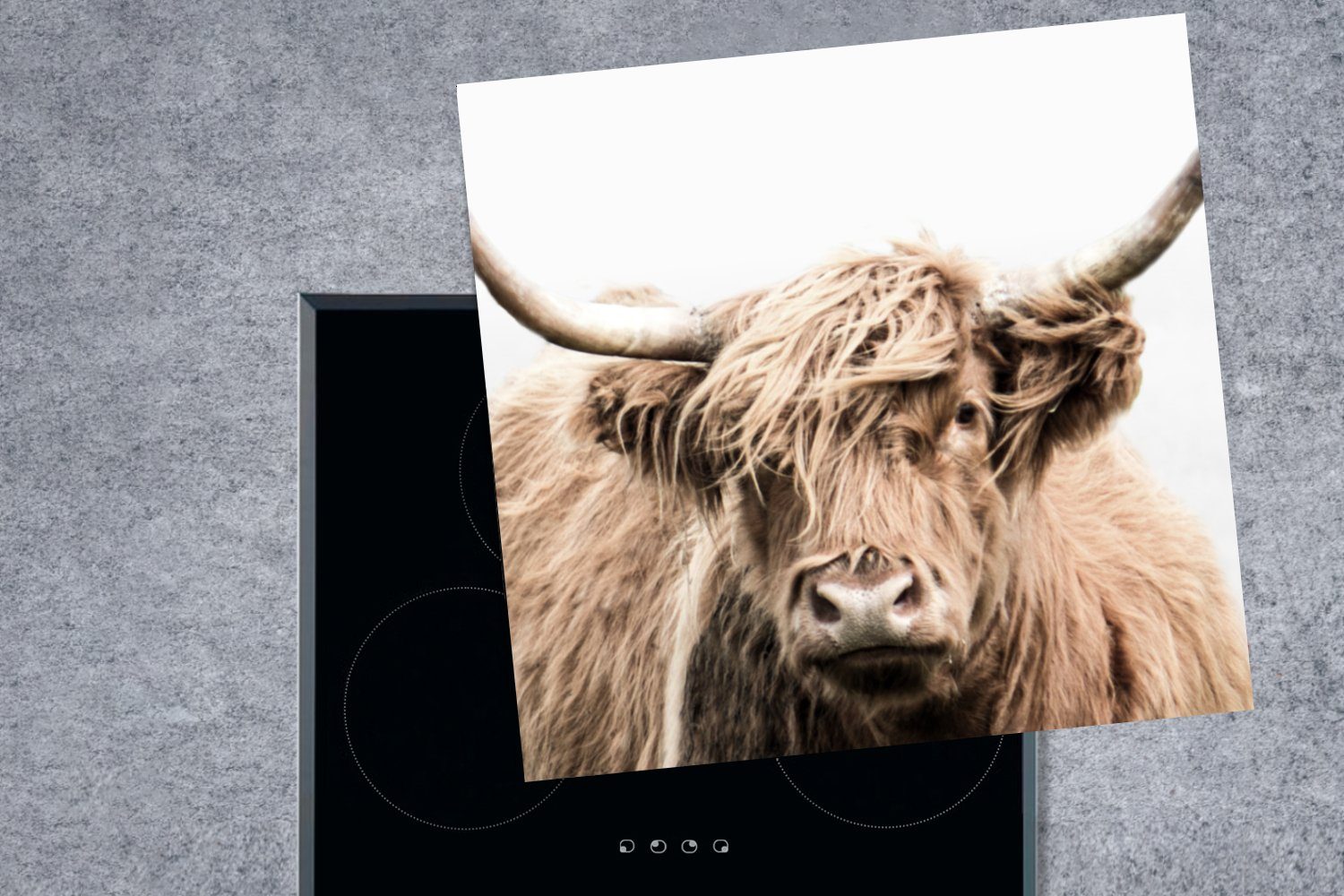 Ceranfeldabdeckung, - küche Herdblende-/Abdeckplatte cm, für - Weiß, (1 78x78 Gras tlg), MuchoWow Vinyl, Arbeitsplatte Highlander Scottish