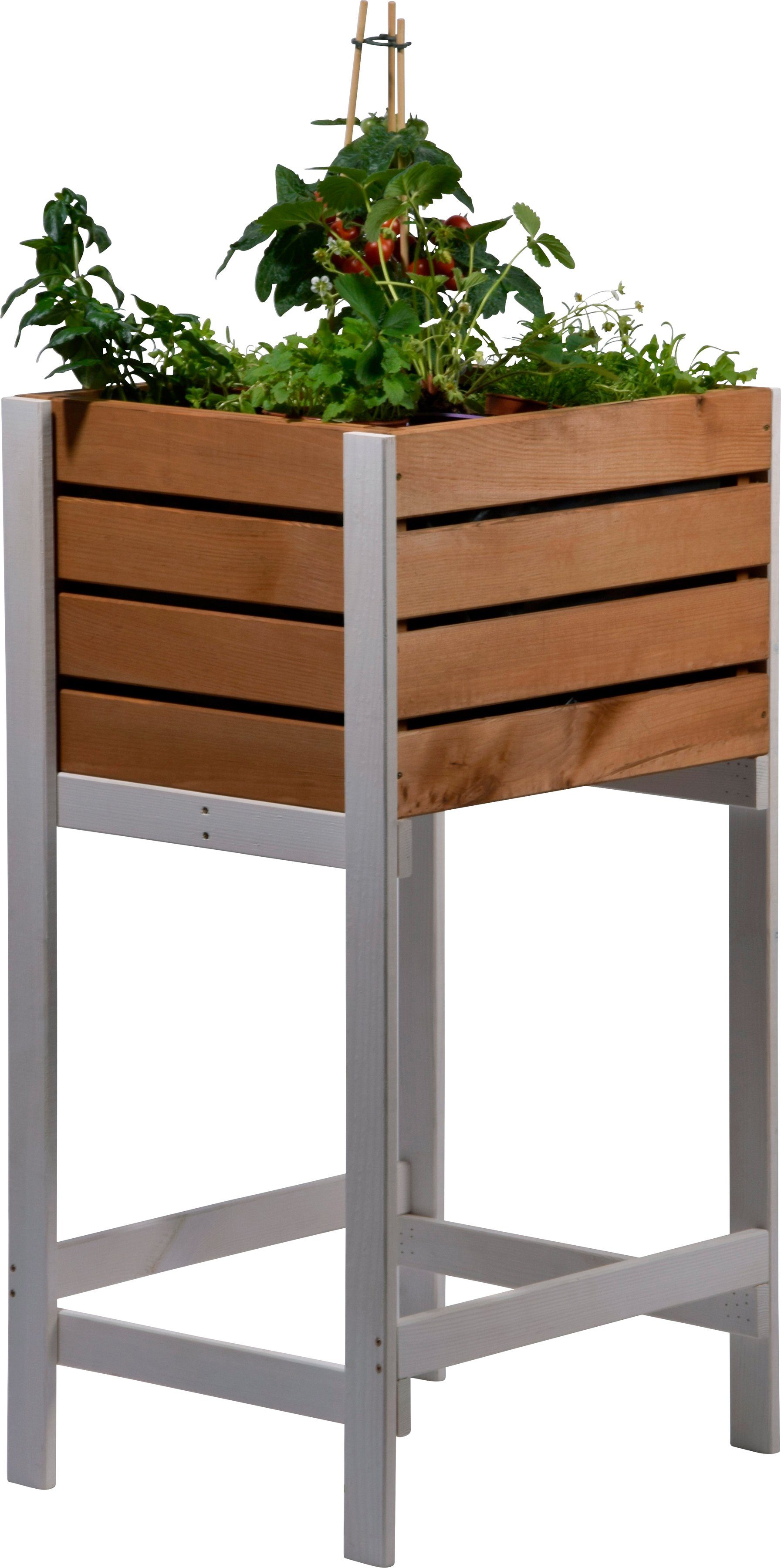 dobar Hochbeet Obstkiste, BxTxH: 49x42x90 cm