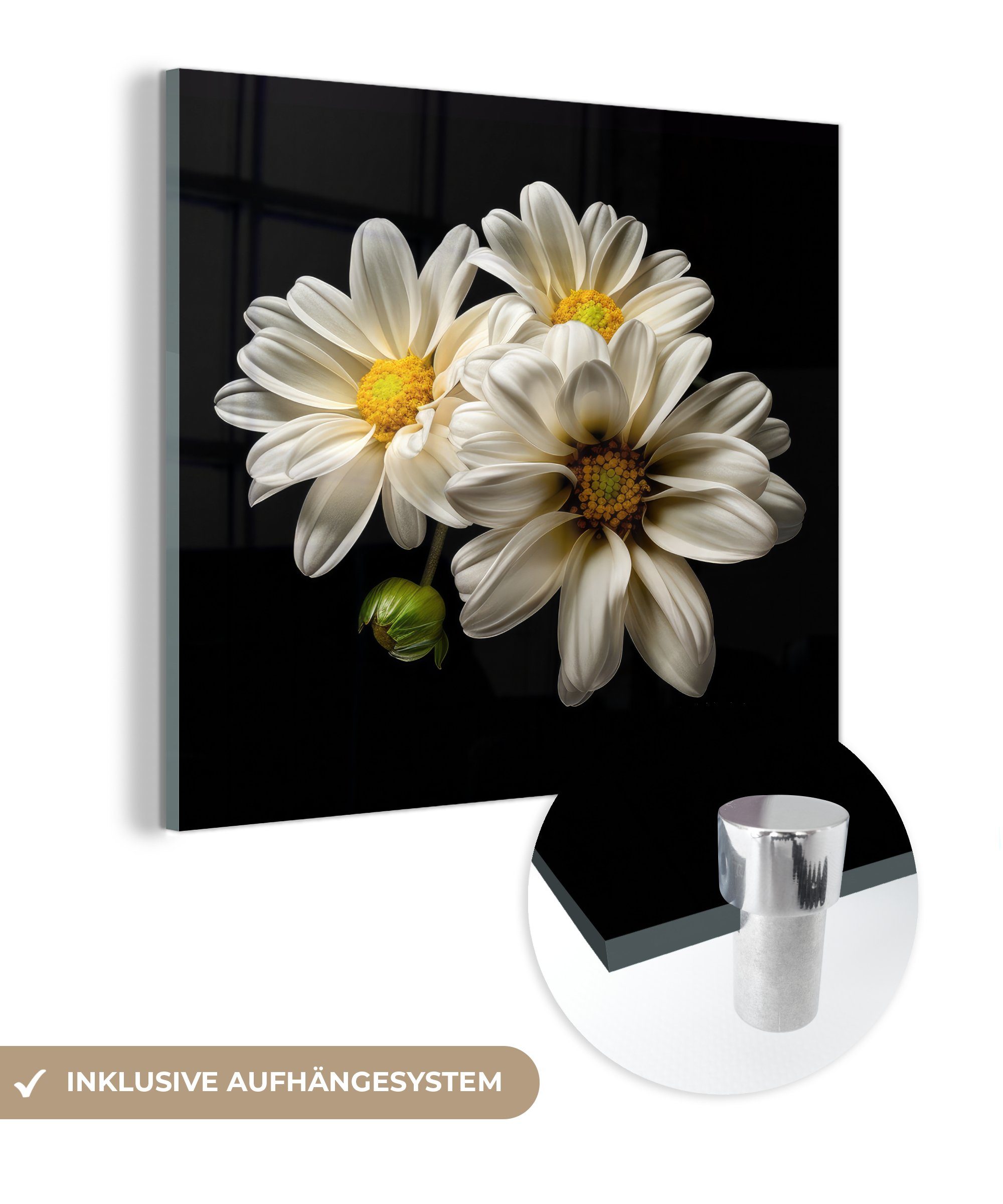 MuchoWow Acrylglasbild Blumen - Gänseblümchen - Weiß - Botanisch - Natur, (1 St), Glasbilder - Bilder auf Glas Wandbild - Foto auf Glas - Wanddekoration