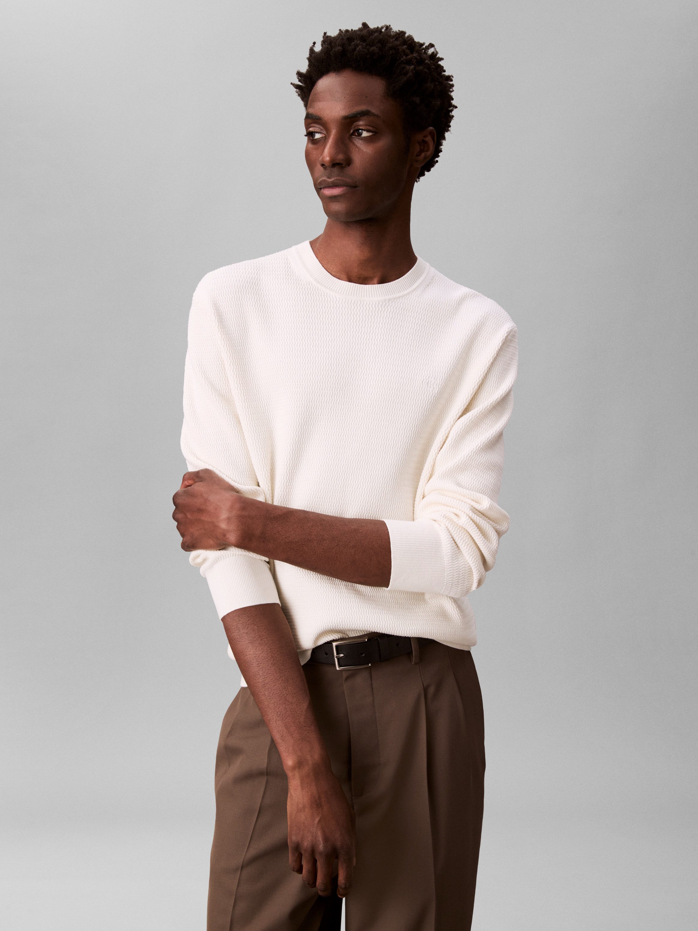 Calvin Klein Strickpullover LS TXTR CTTN günstig online kaufen