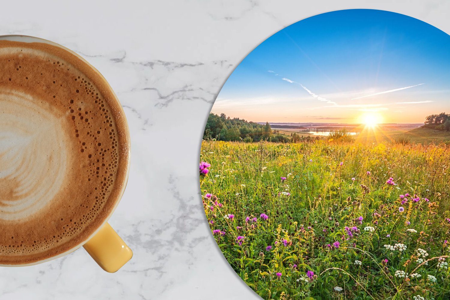 MuchoWow Korkuntersetzer, 6-tlg., Sonne - für Tasse, Gras - Becher Tassenuntersetzer, Getränkeuntersetzer, Glasuntersetzer Zubehör Gläser, Blumen,