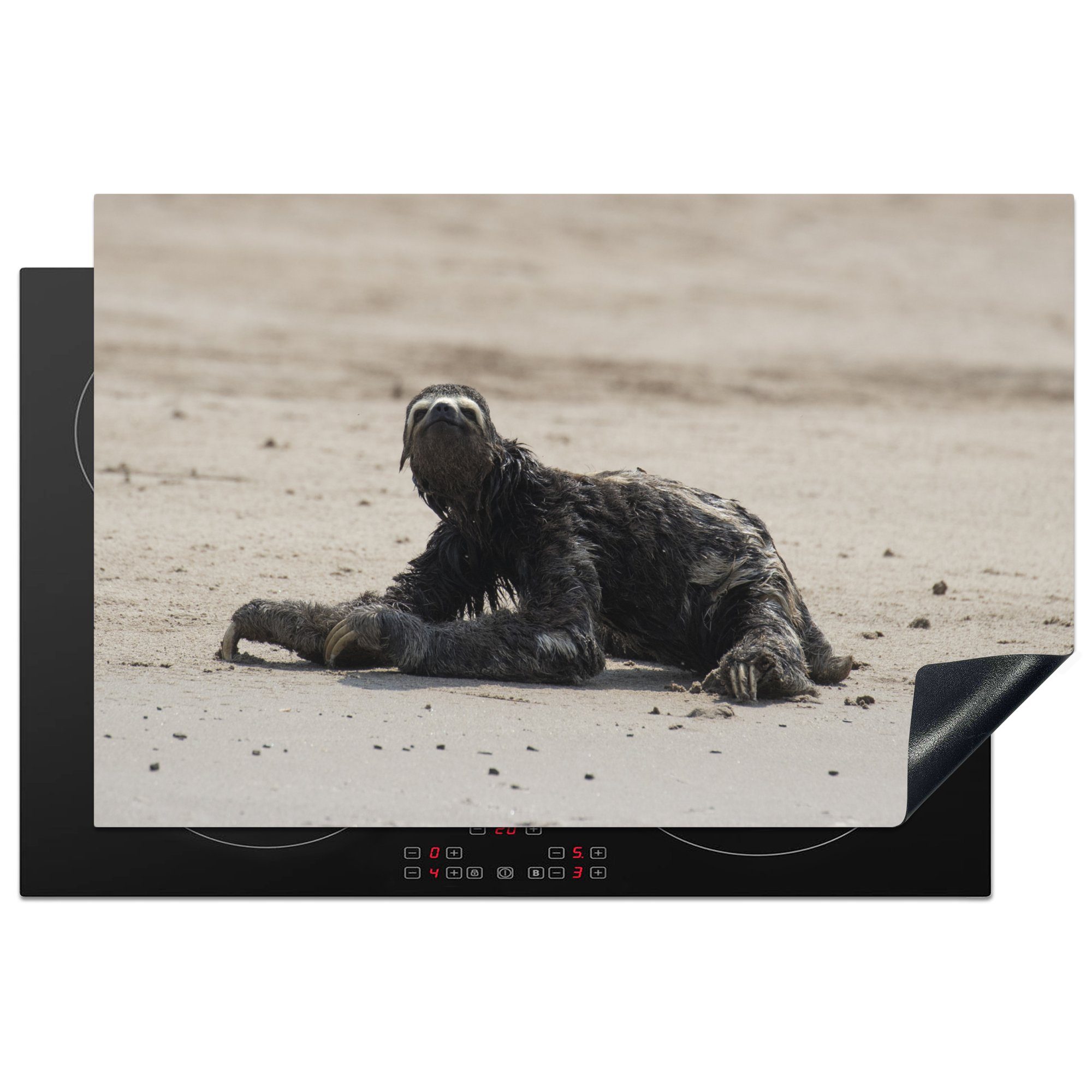 MuchoWow Herdblende-/Abdeckplatte Faultier am Strand im Manu-Nationalpark, Peru, Vinyl, (1 tlg), 81x52 cm, Induktionskochfeld Schutz für die küche, Ceranfeldabdeckung
