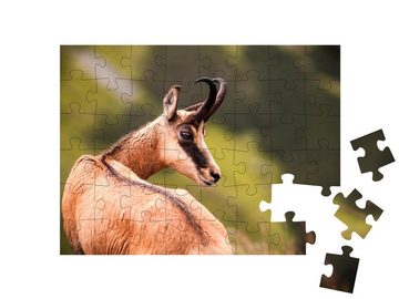 puzzleYOU Puzzle Porträt einer Gämse in der Natur, 48 Puzzleteile, puzzleYOU-Kollektionen Gemse, Tiere in Wald & Gebirge