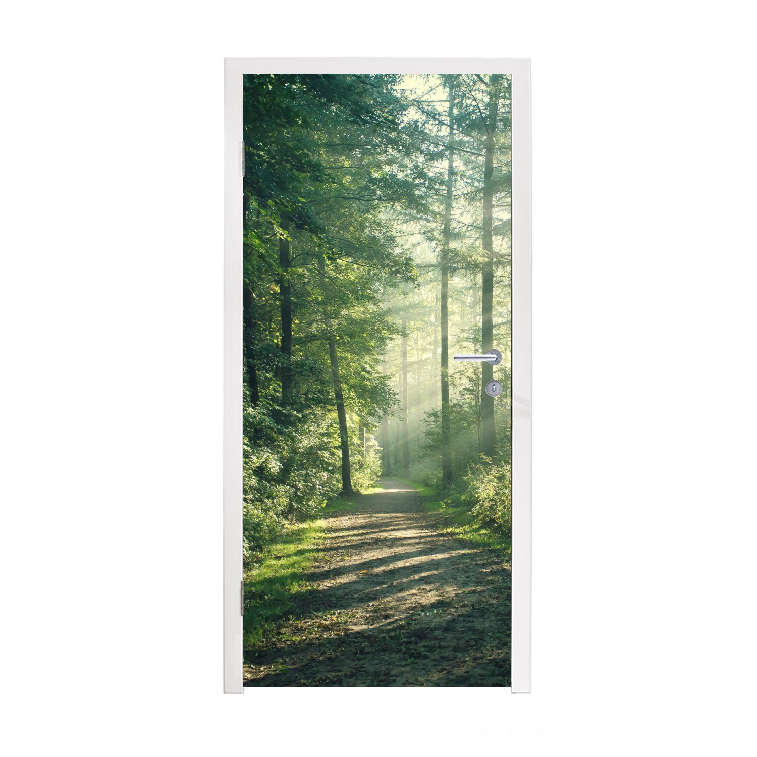 MuchoWow Türtapete Wald - Licht - Weg, Matt, bedruckt, (1 St), Fototapete für Tür, Türaufkleber, 75x205 cm